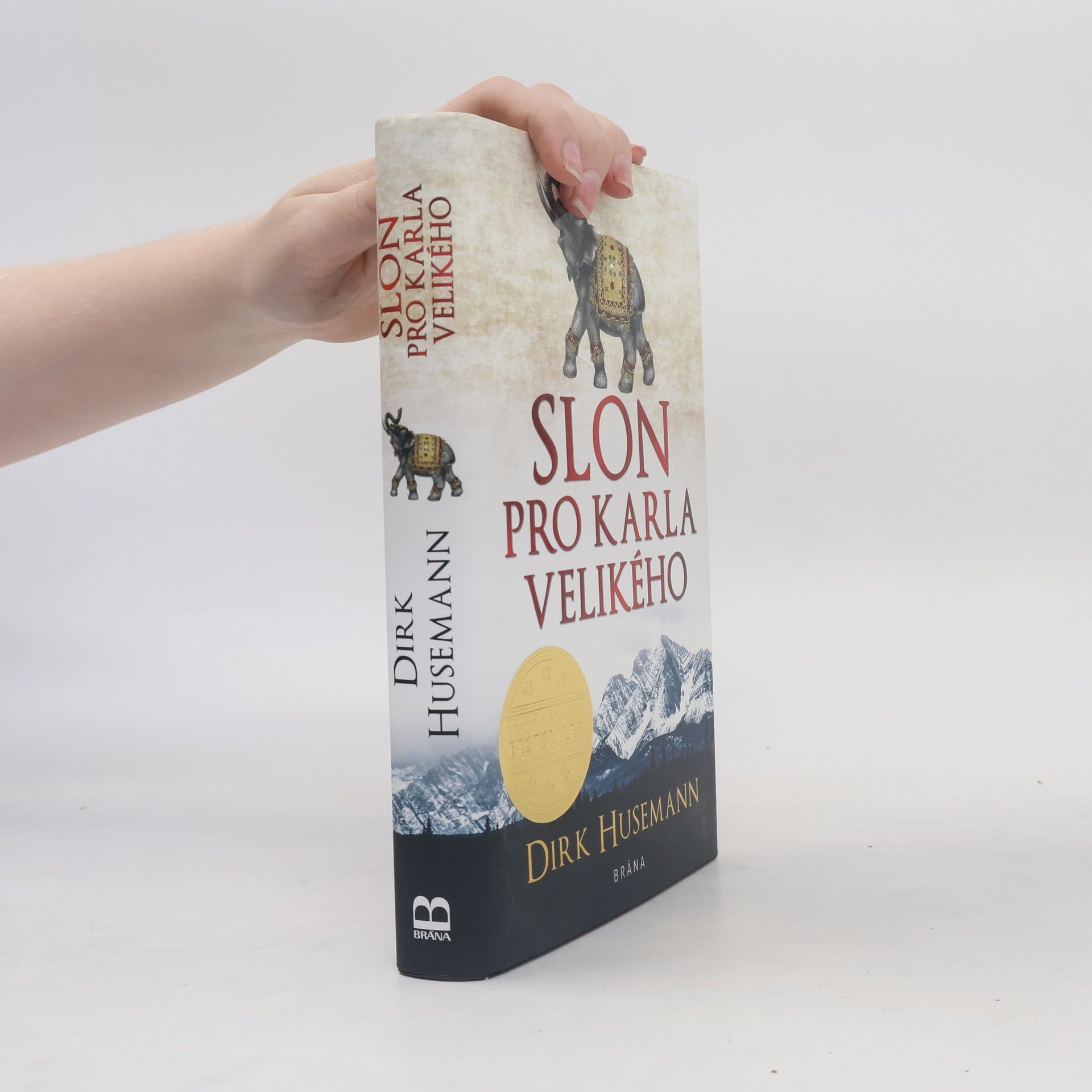 Dirk Husemann Slon pro Karla Velikého