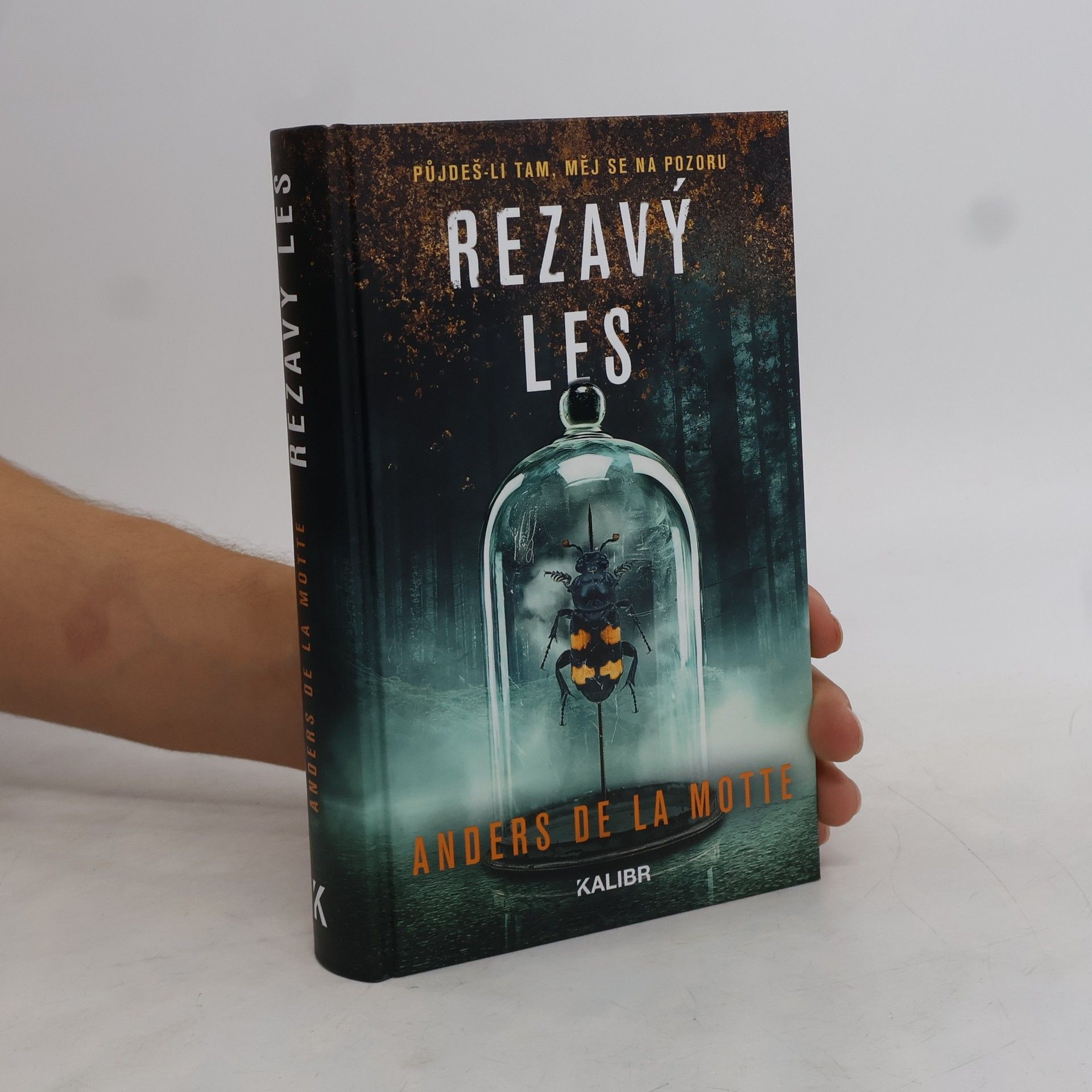 Anders De la Motte Rezavý les