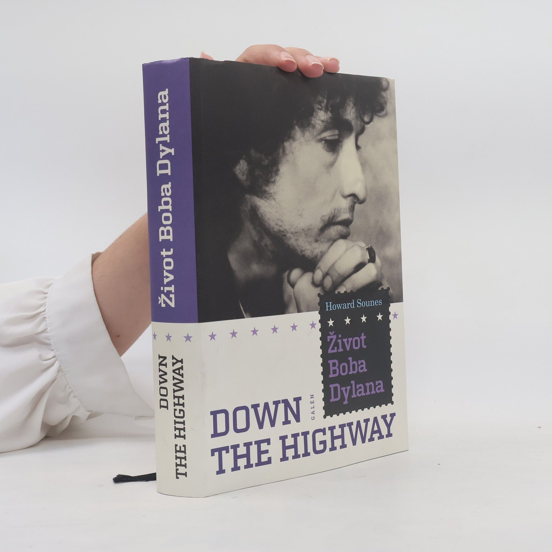 Howard Sounes Down The Highway : Život Boba Dylana