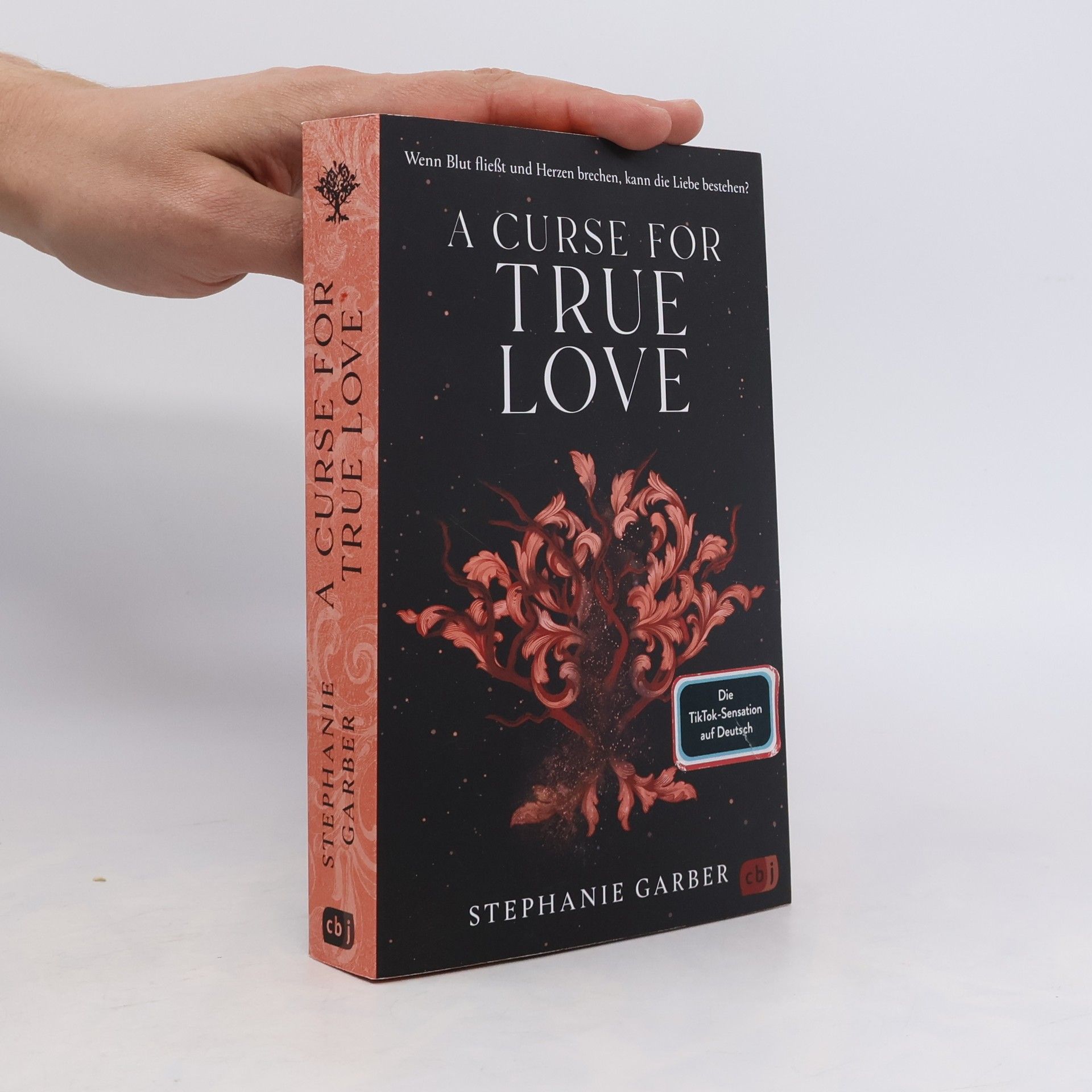 Stephanie Garber A Curse for True Love