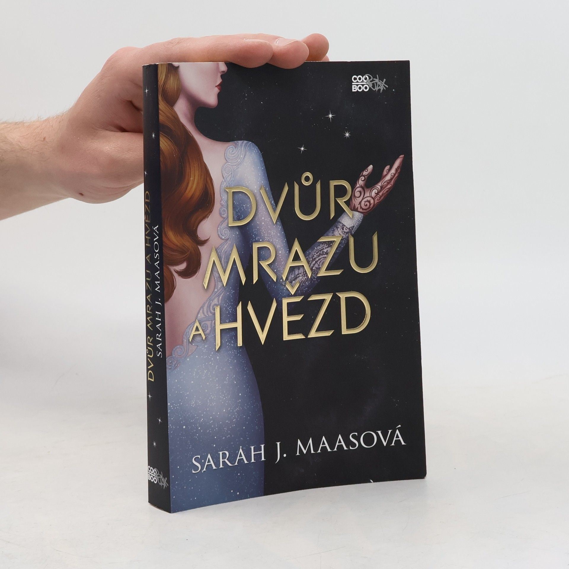 Sarah J. Maasová Dvůr mrazu a hvězd