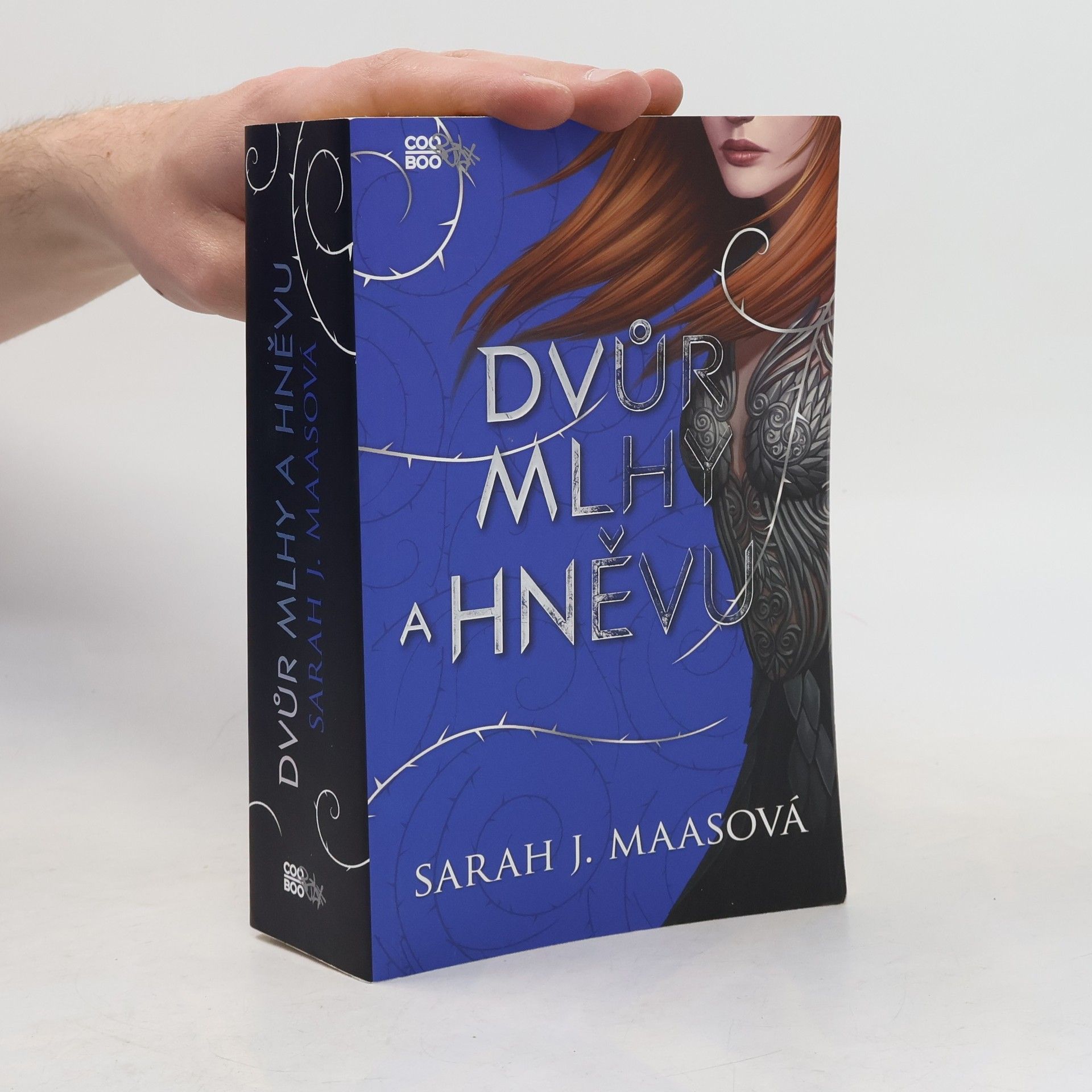 Sarah J. Maas Dvůr mlhy a hněvu