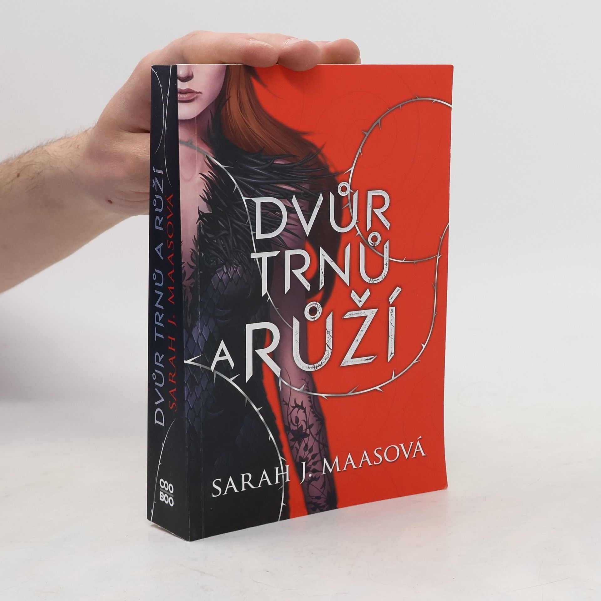 Sarah J. Maas Dvůr trnů a růží