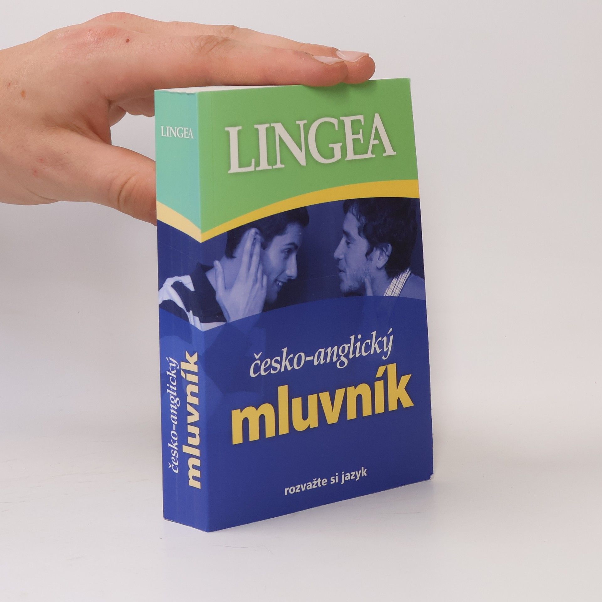Autorenkollektiv Česko-anglický mluvník
