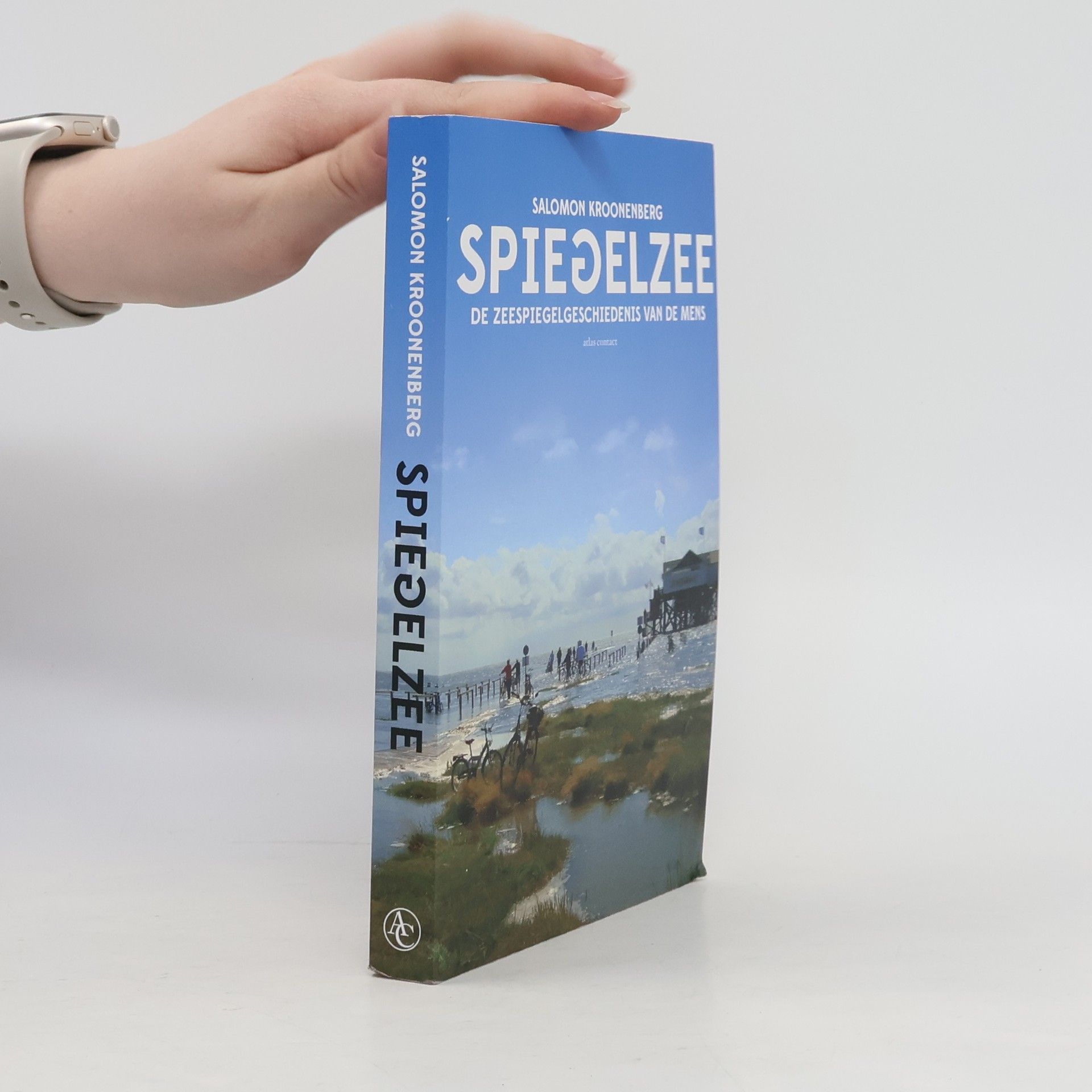 Spiegelzee
