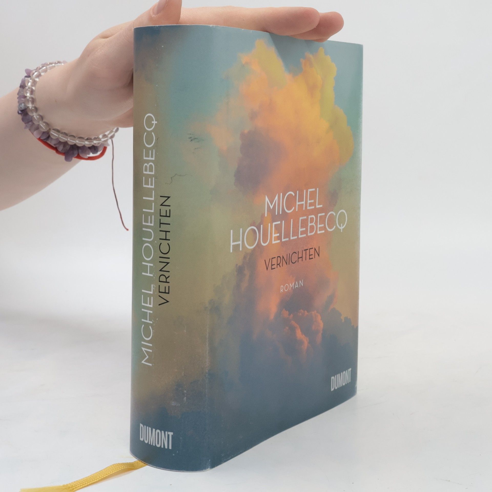 Michel Houellebecq Vernichten