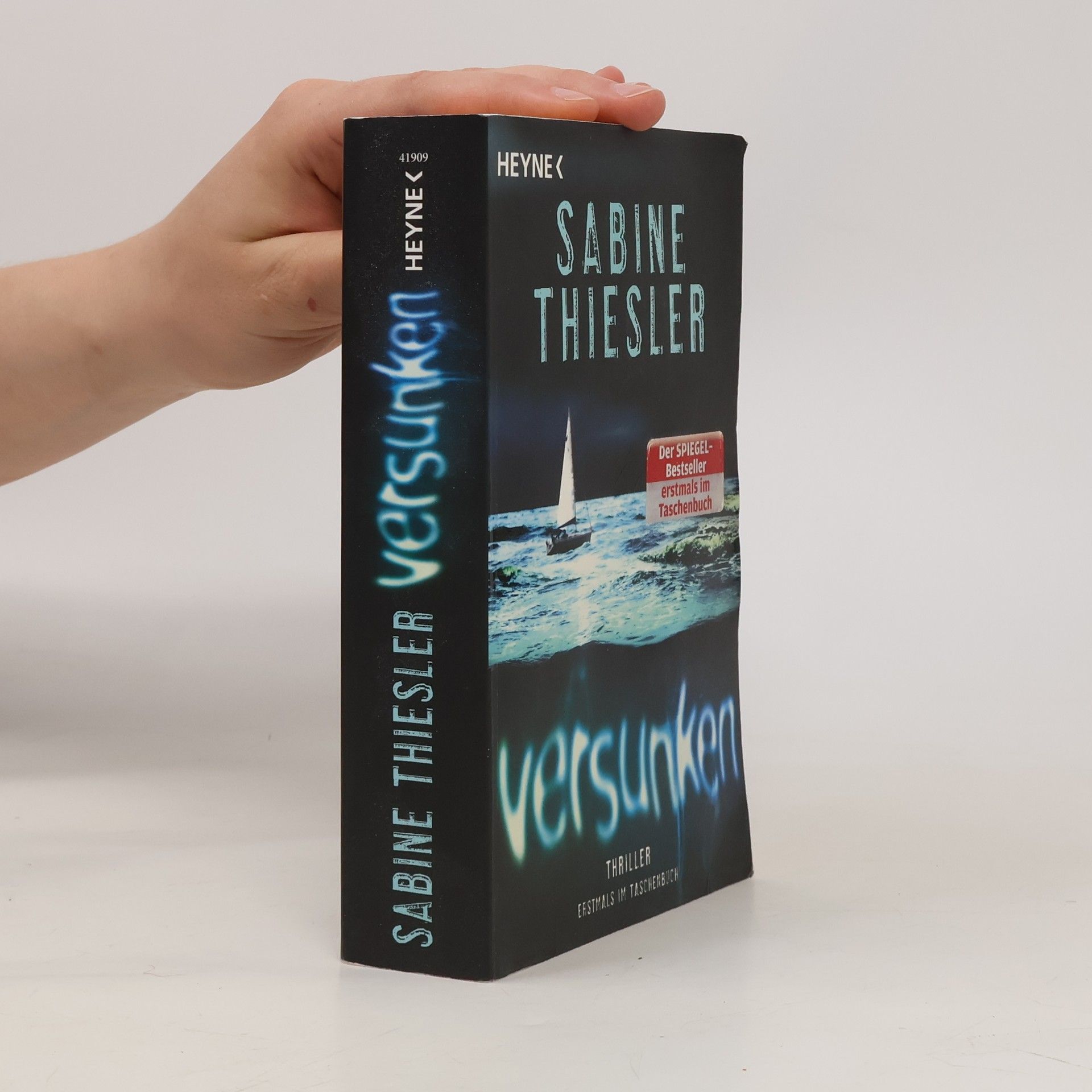 Sabine Thiesler Versunken