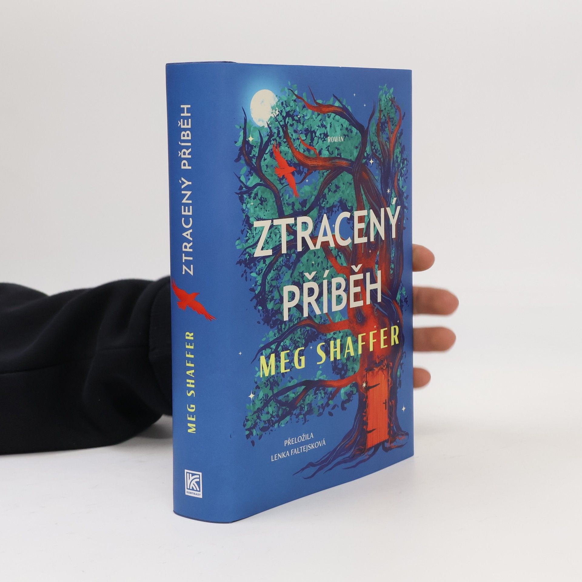Ztracený příběh