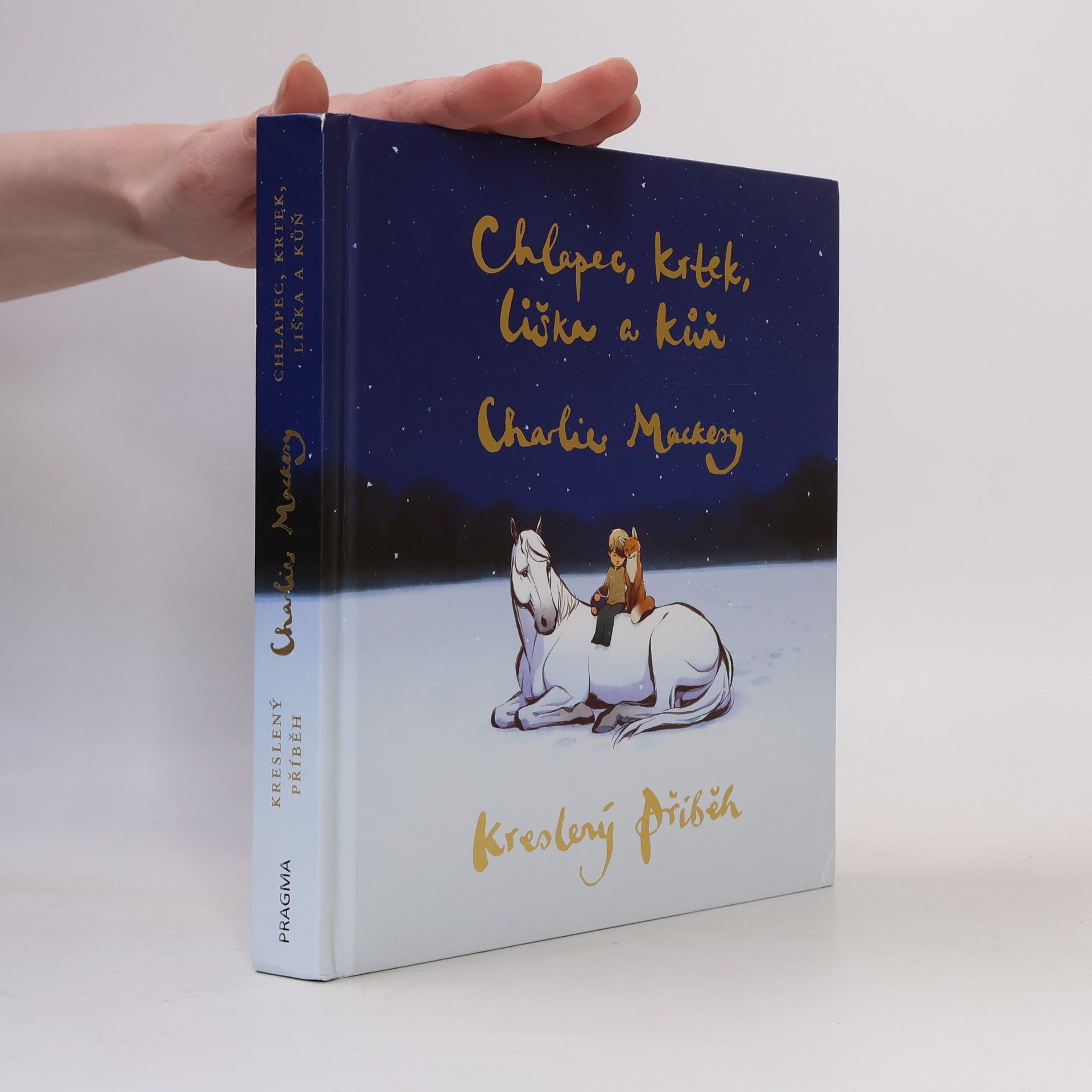 Charlie Mackesy Chlapec, krtek, liška a kůň : kreslený příběh