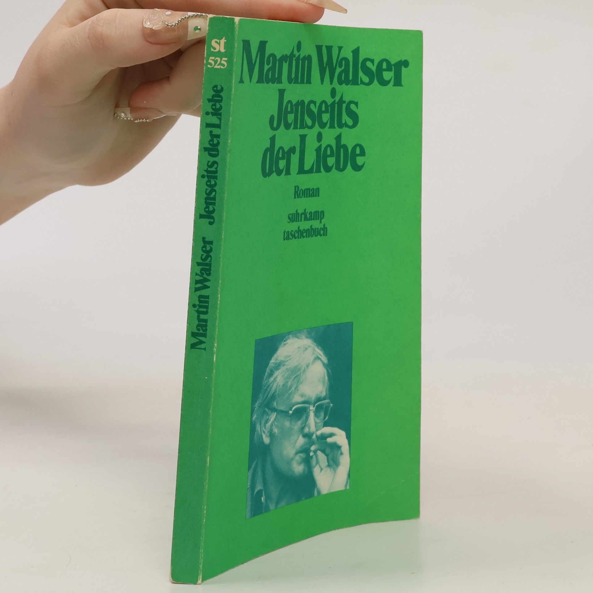 Martin Walser Jenseits der Liebe