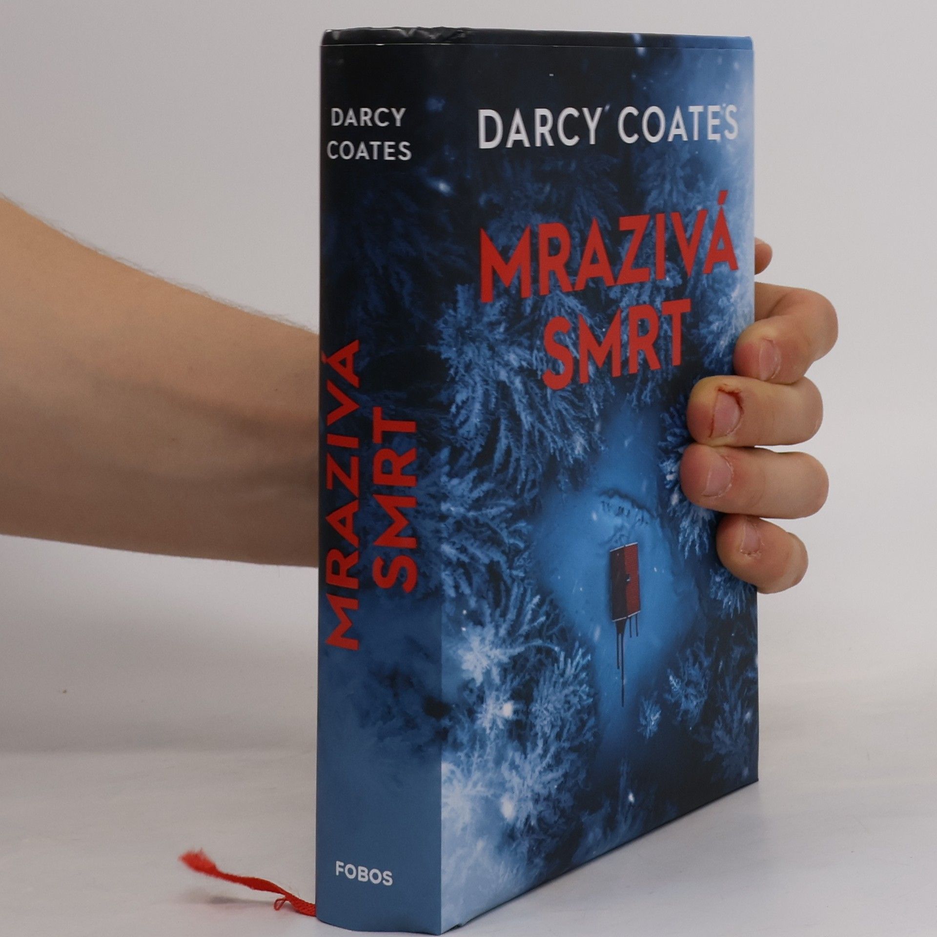 Darcy Coates Mrazivá smrt