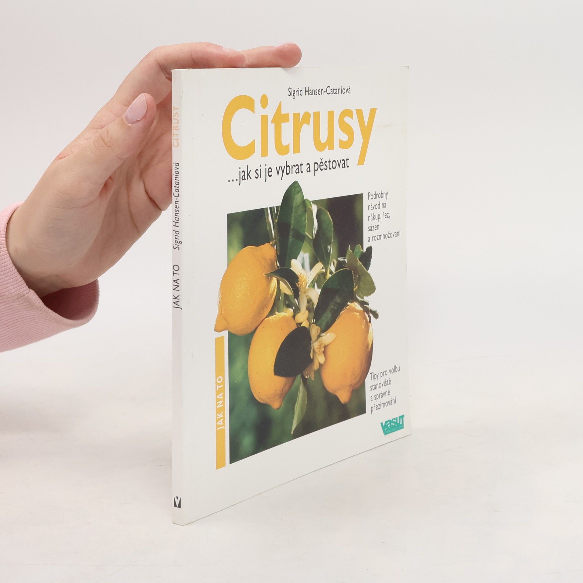 Sigrid HansenCatani Citrusy