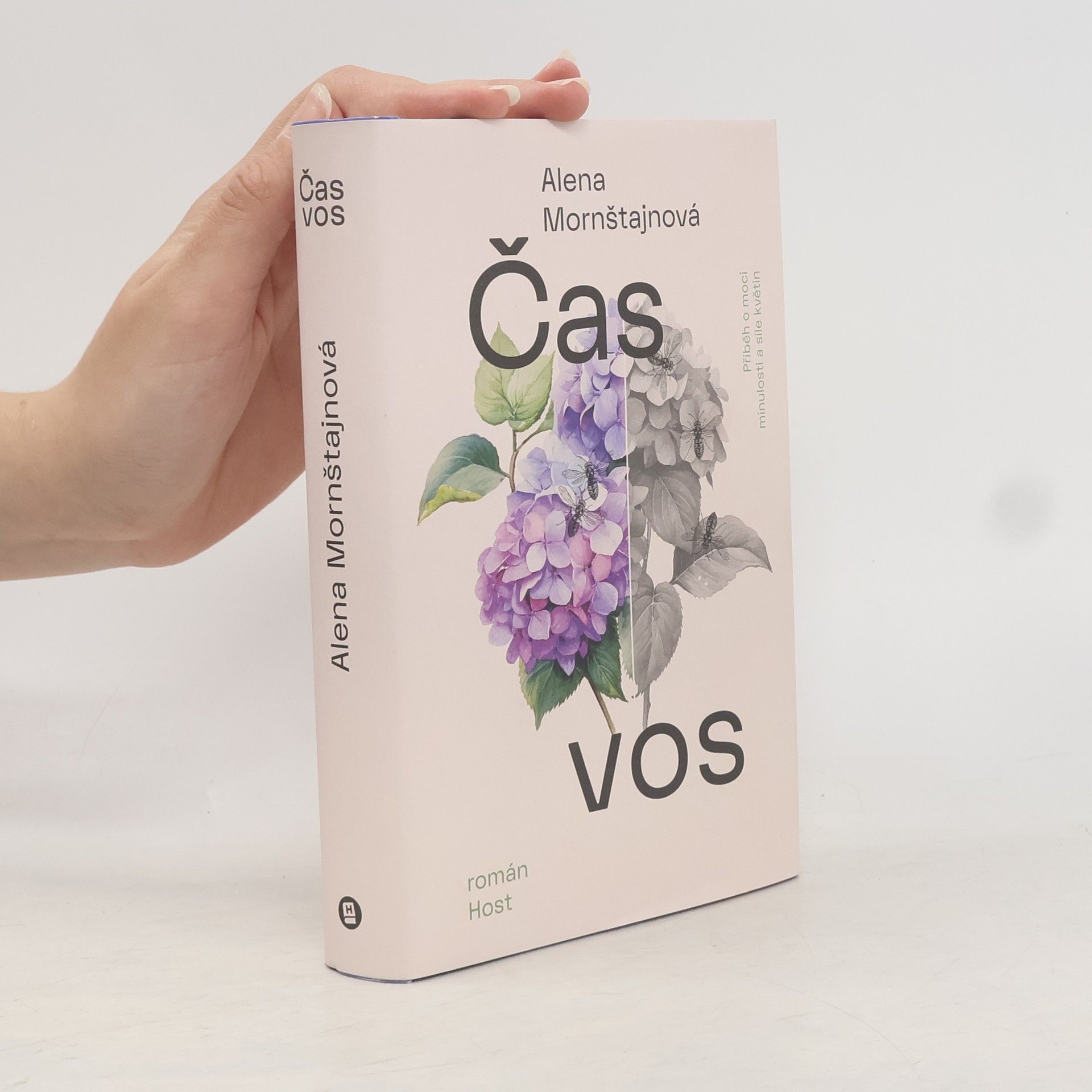 Alena Mornštajnová Čas vos