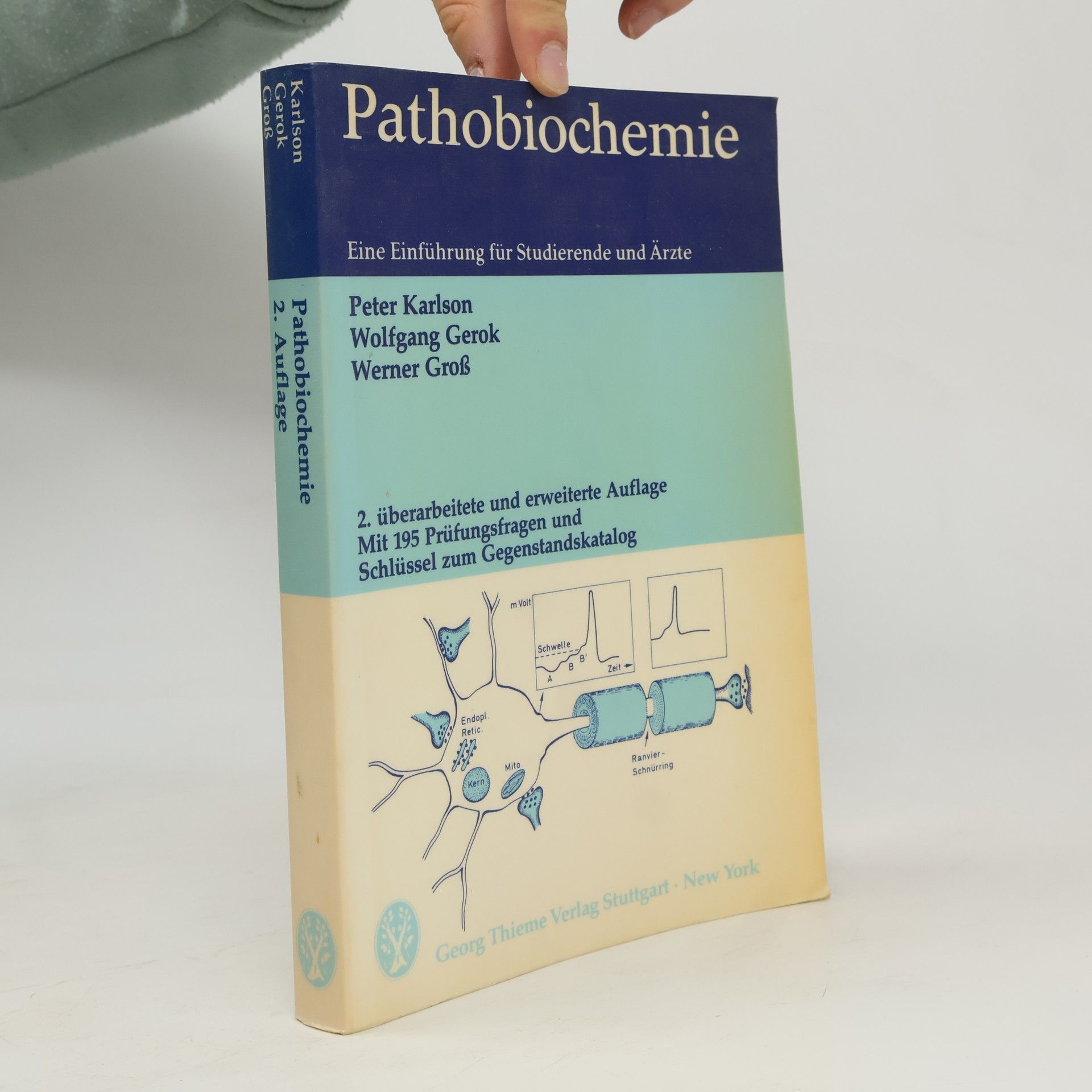 Werner Gross Pathobiochemie - 2. überarbeitete und erweiterte Auflage