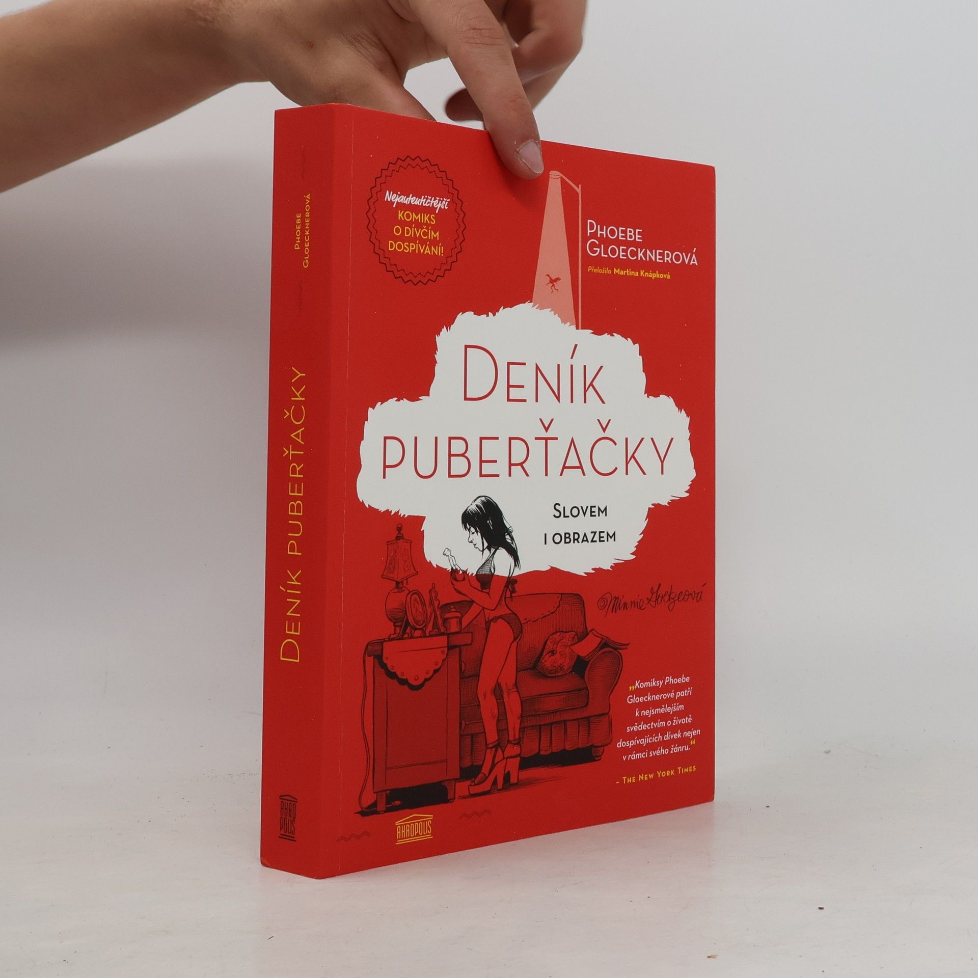 Phoebe Gloeckner Deník puberťačky : slovem i obrazem