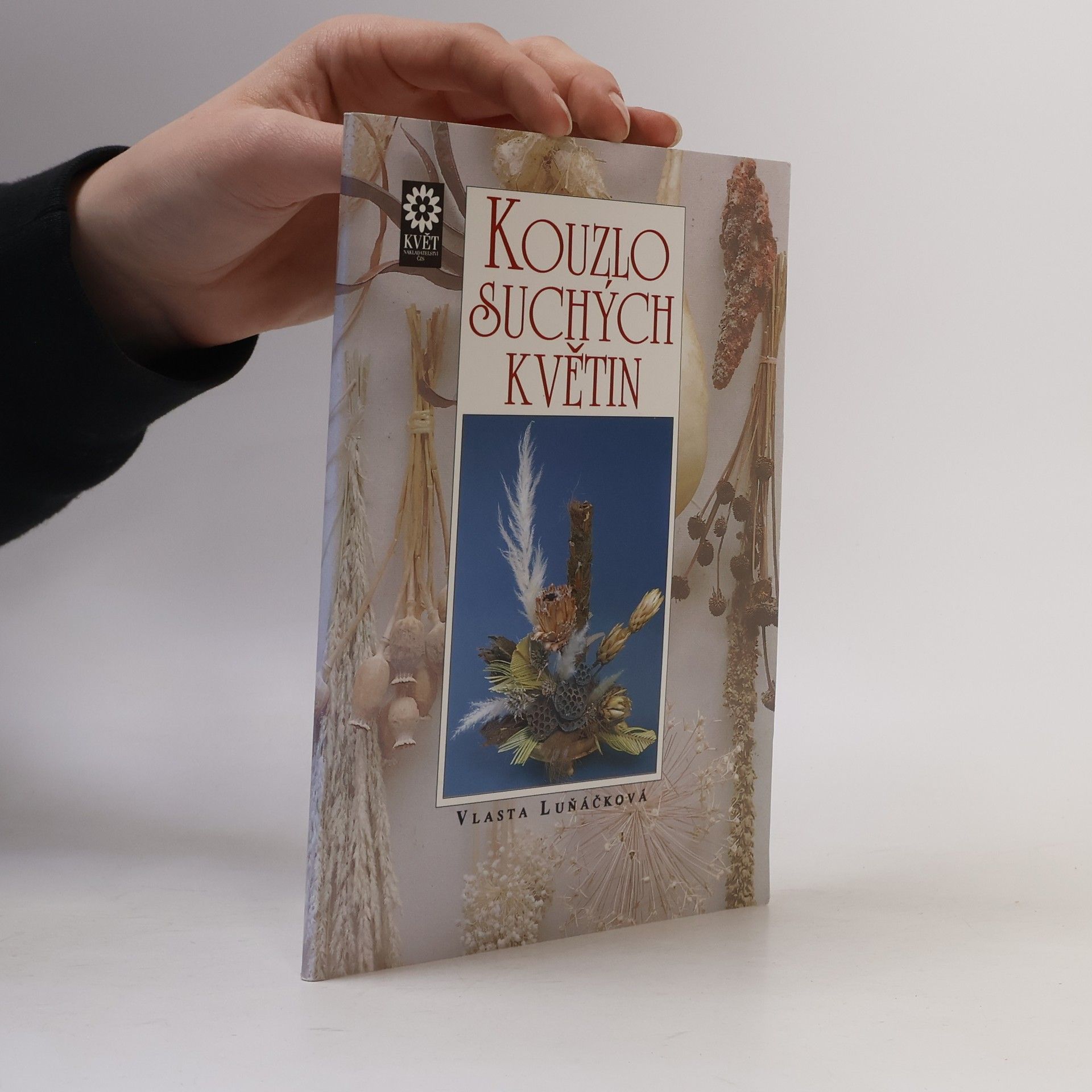 Vlasta Luňáčková Kouzlo suchých květin