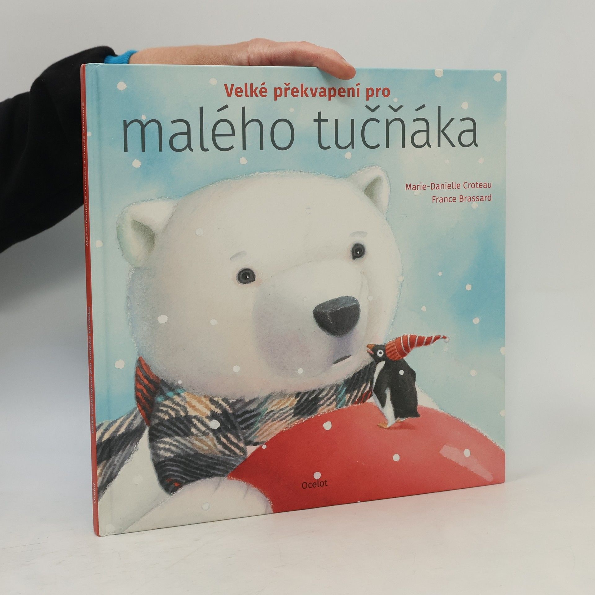 Velké překvapení pro malého tučňáka