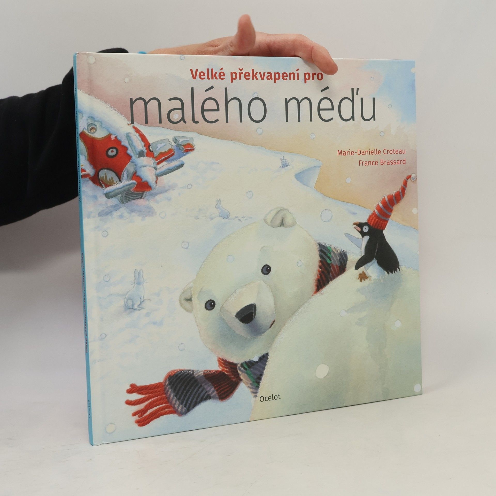 MarieDanielle Croteau Velké překvapení pro malého méďu