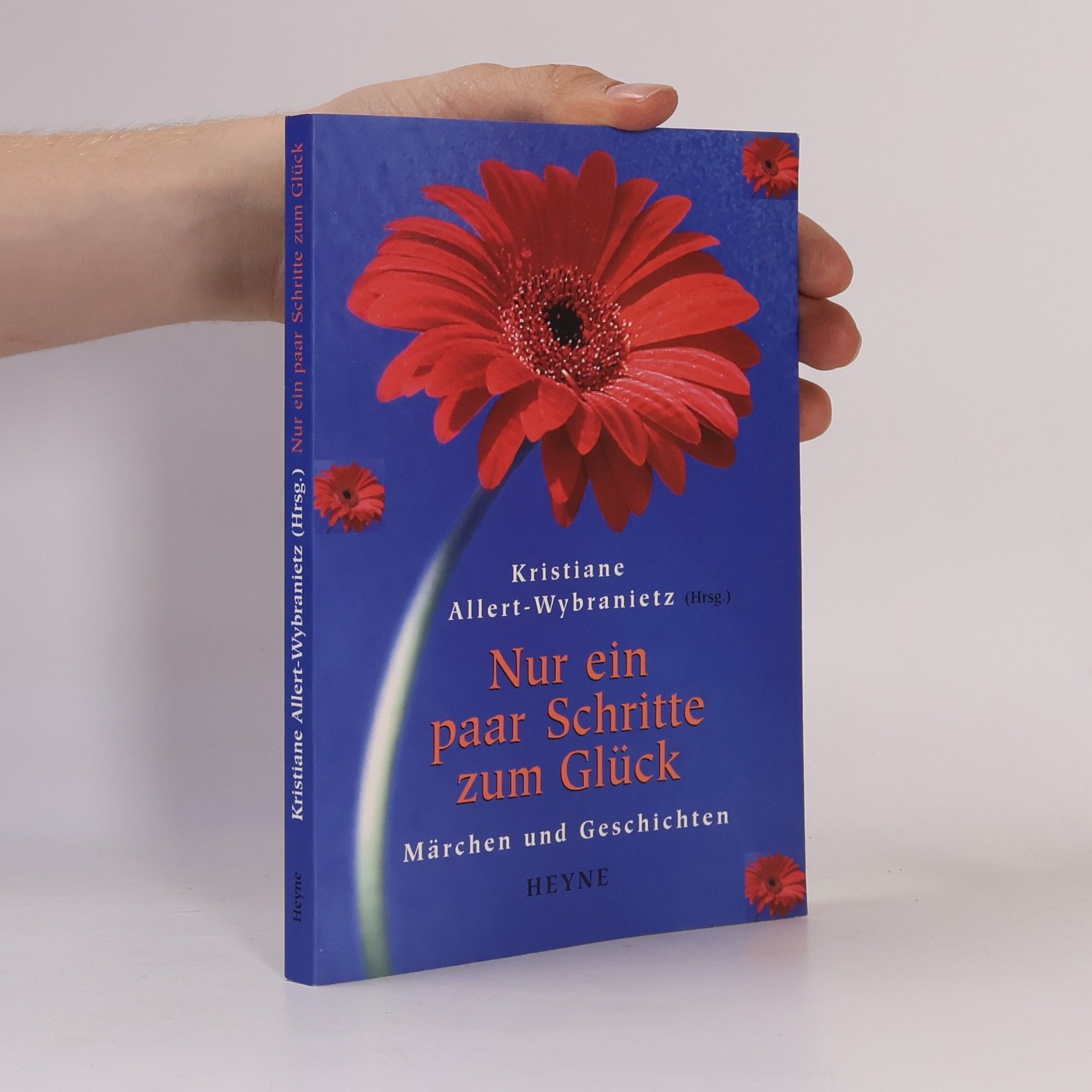 Kristiane Allert-Wybranietz Nur ein paar Schritte zum Glück