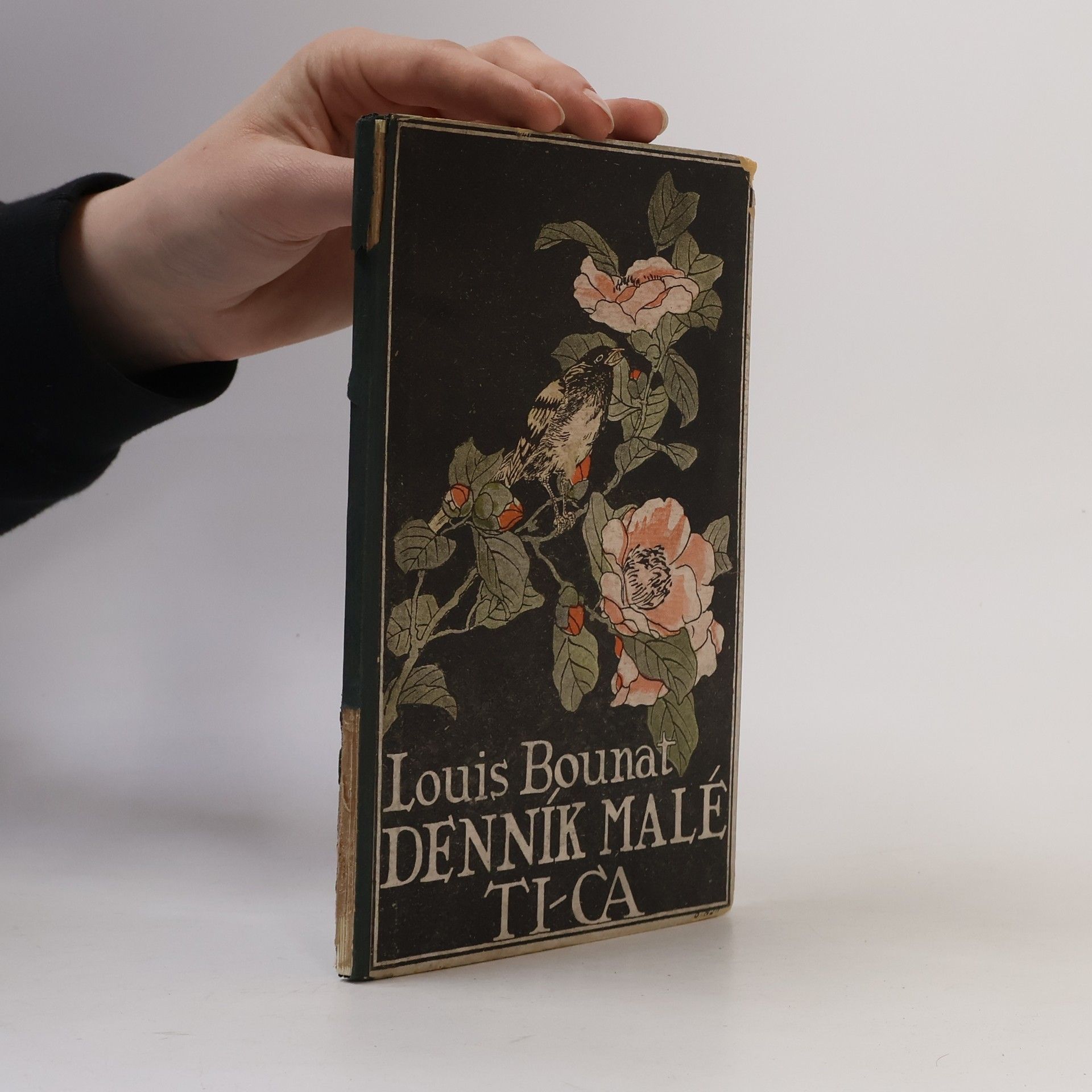 Louis Bounat Denník malé Ti-ca