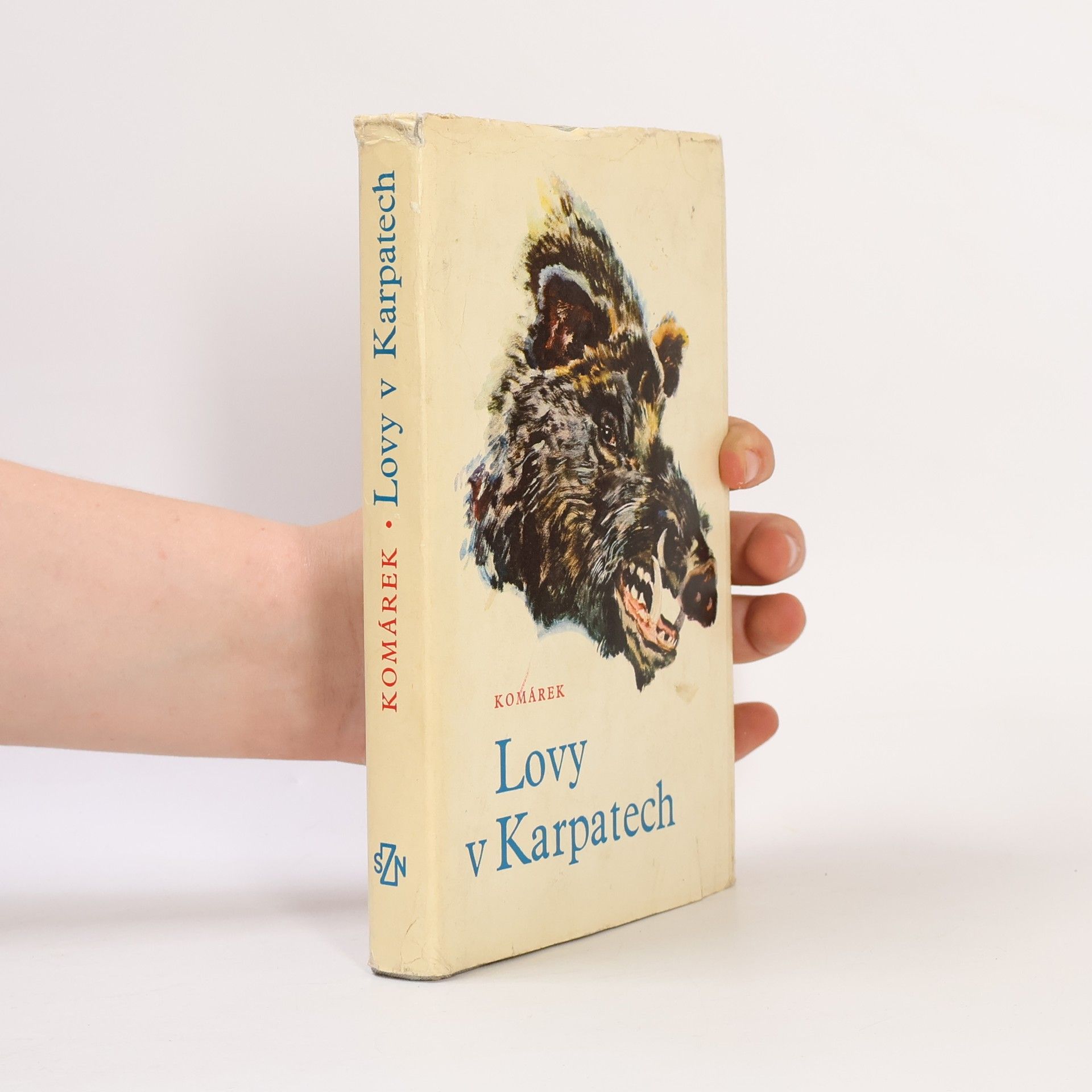 Julius Komárek Lovy v Karpatech