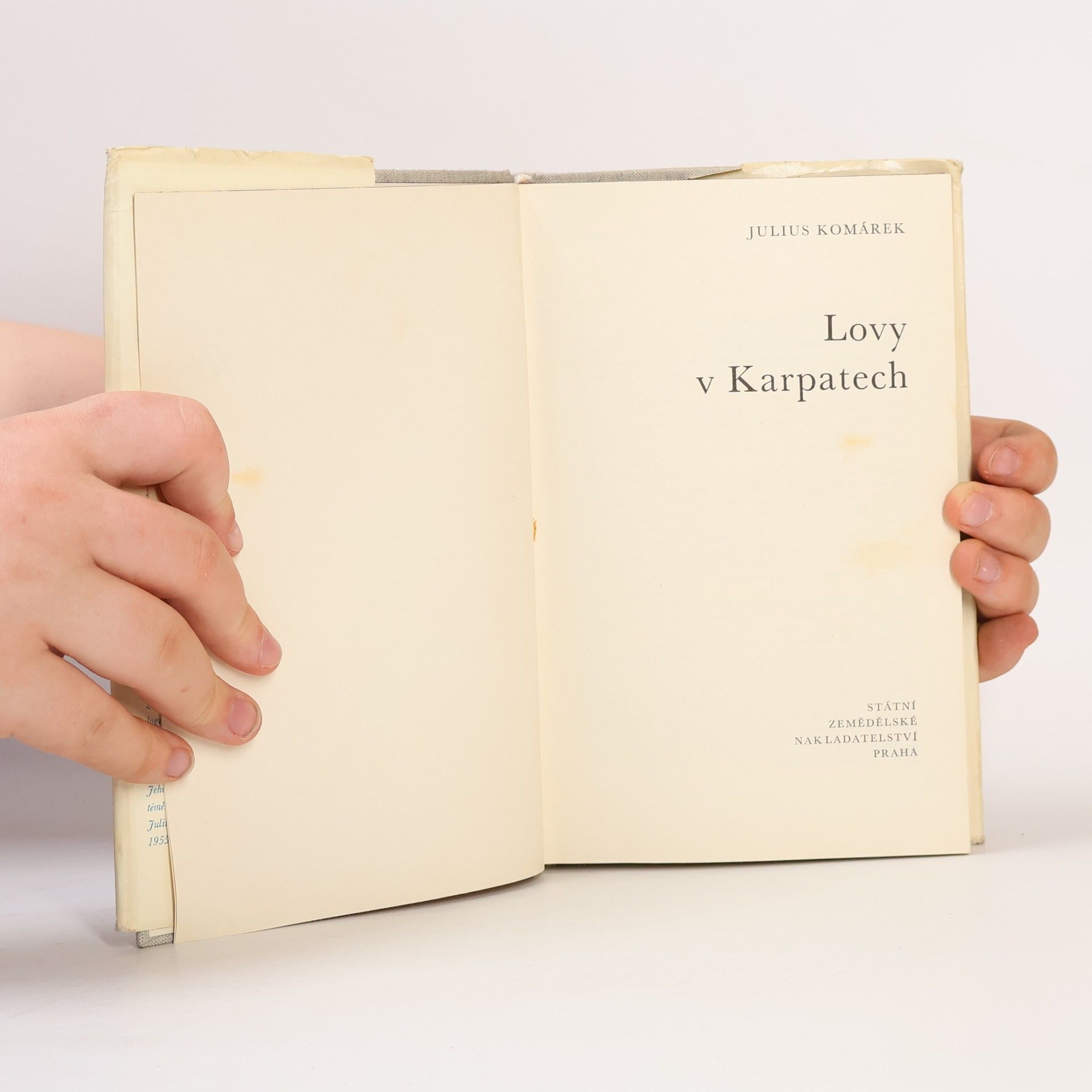 Julius Komárek Lovy v Karpatech