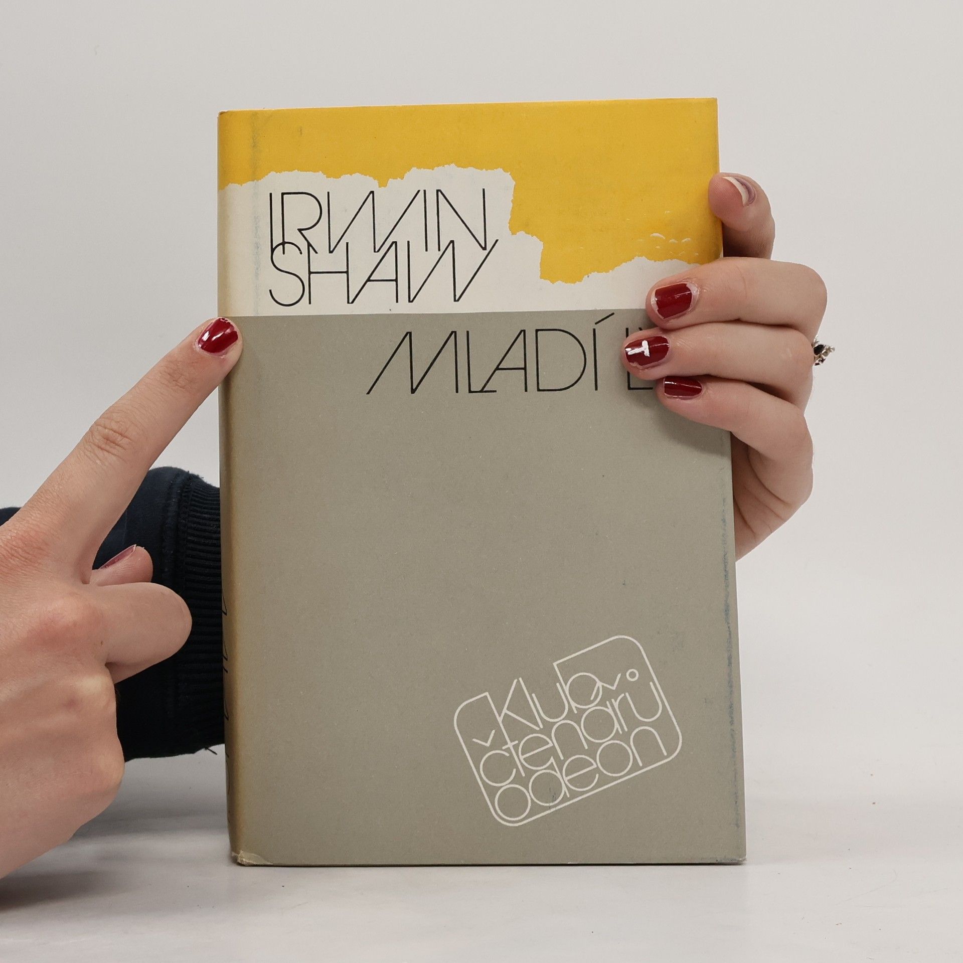 Irwin Shaw Mladí lvi