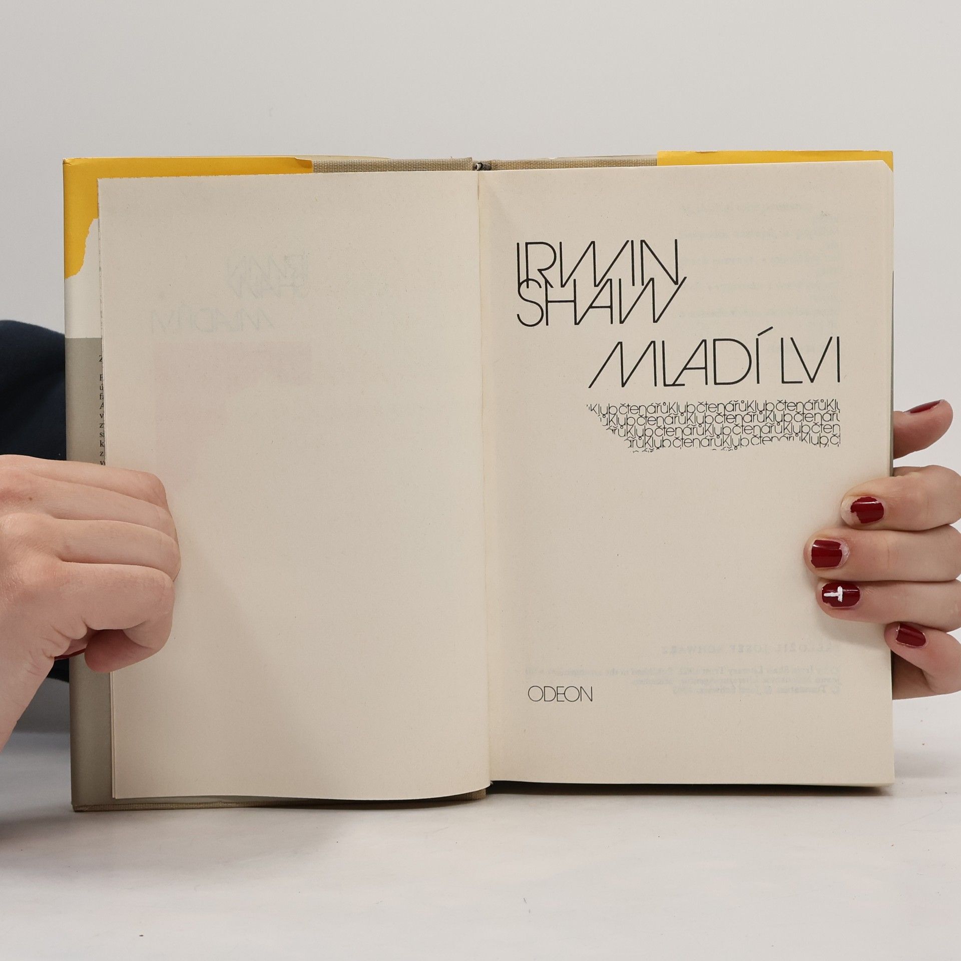 Irwin Shaw Mladí lvi