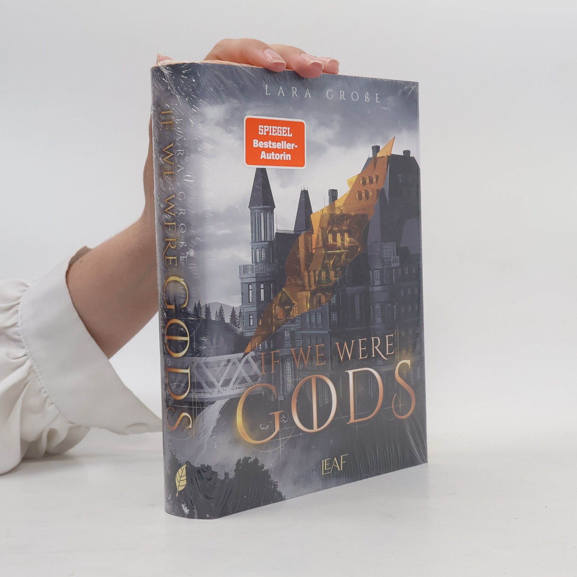 Lara Große If We Were Gods