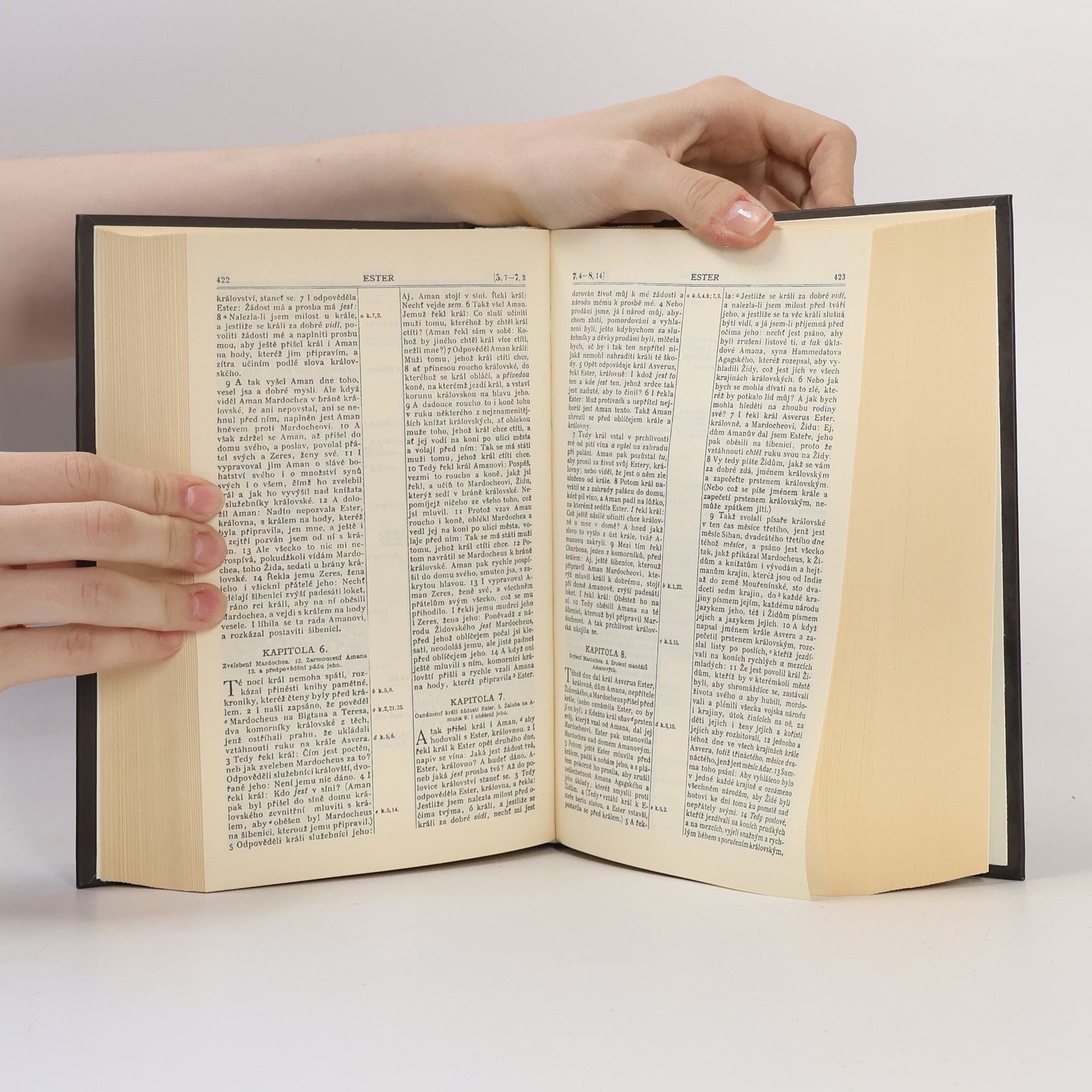 Autorenkollektiv Bible svatá aneb všecka svatá písma Starého i Nového zákona