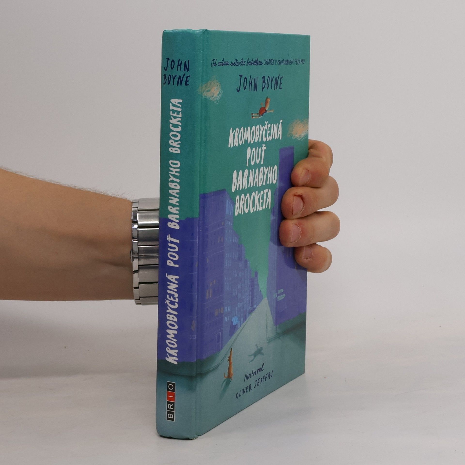 John Boyne Kromobyčejná pouť Barnabyho Brocketa