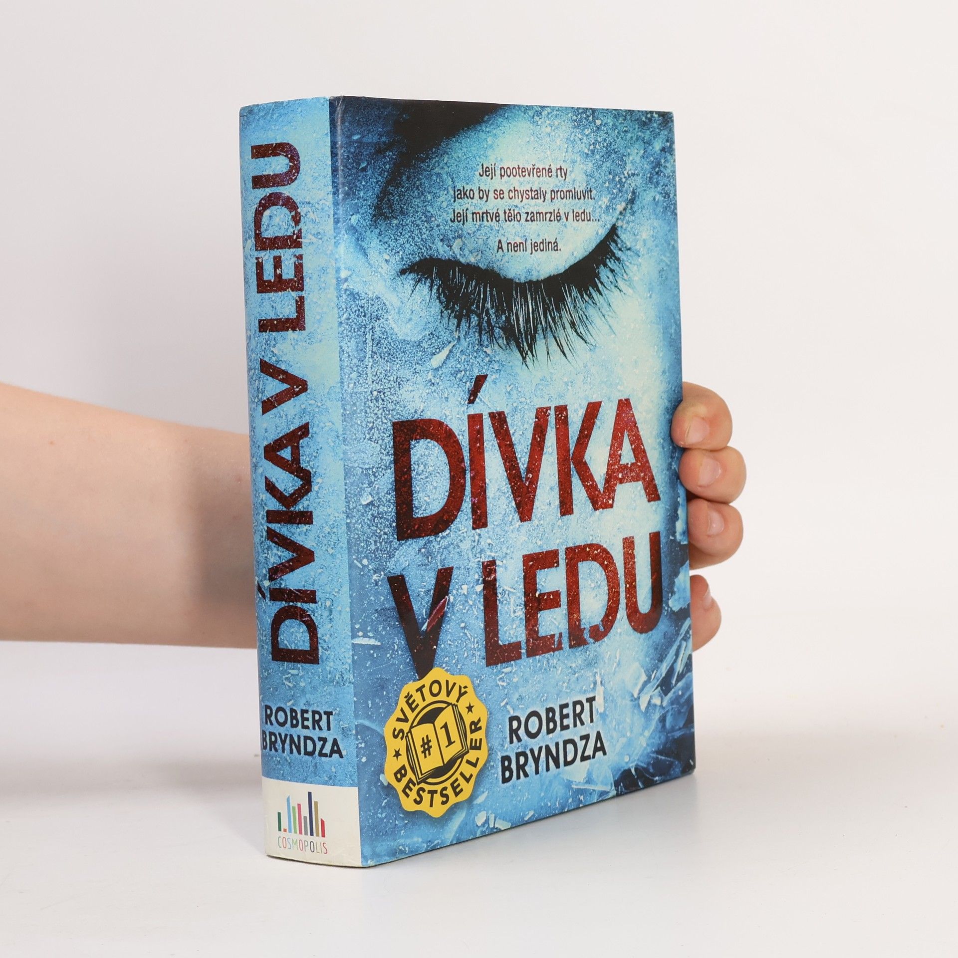 Robert Bryndza Dívka v ledu