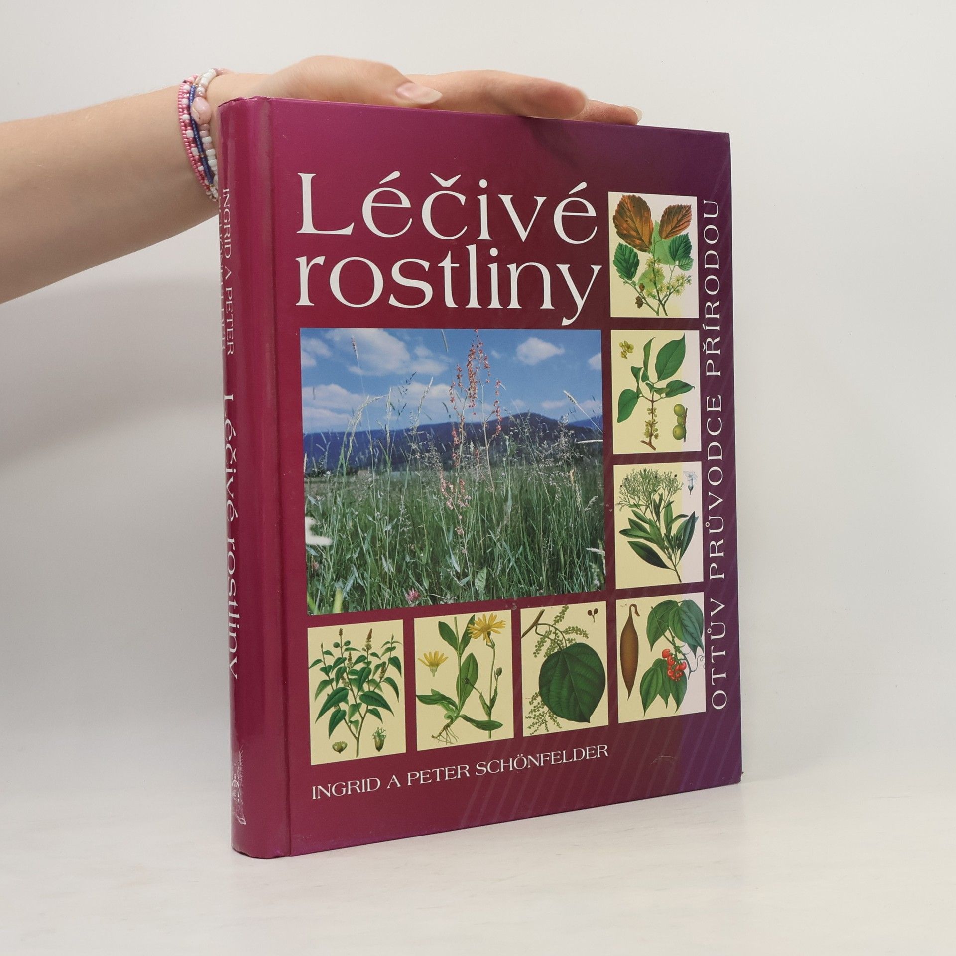 Peter Schönfelder Léčivé rostliny