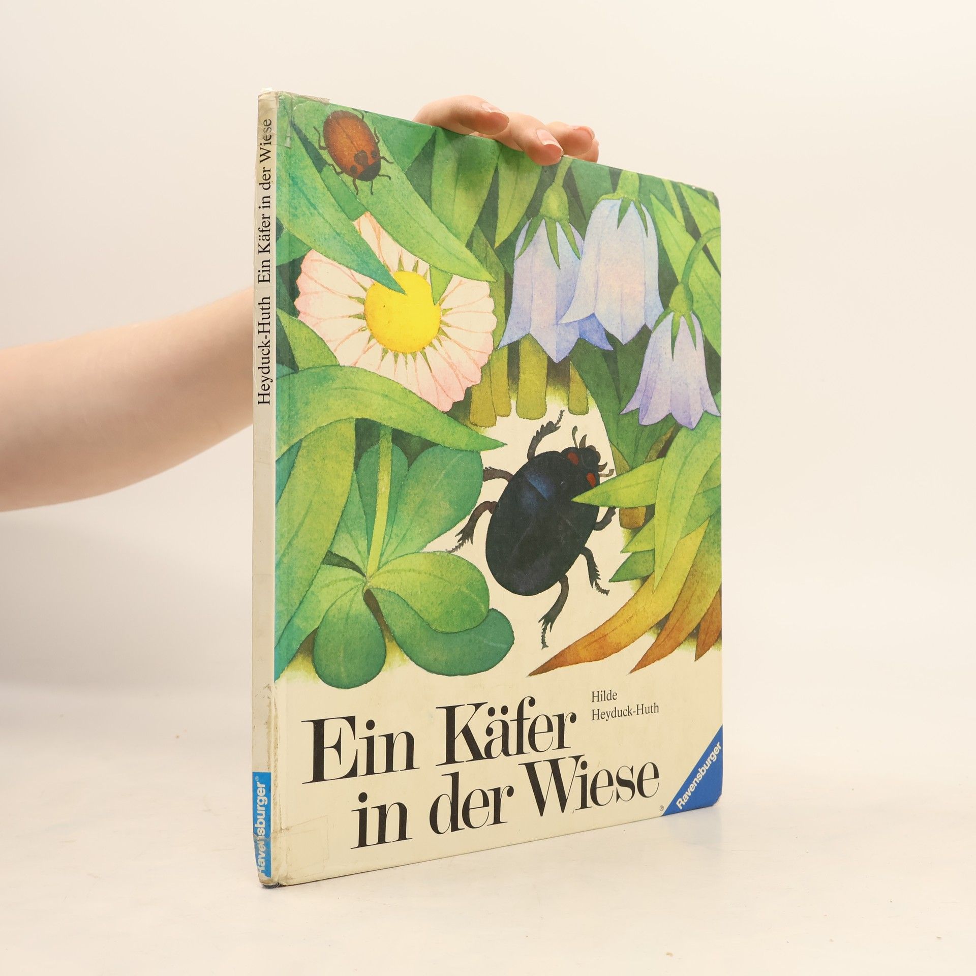 Hilde Heyduck-Huth Ein Käfer in der Wiese