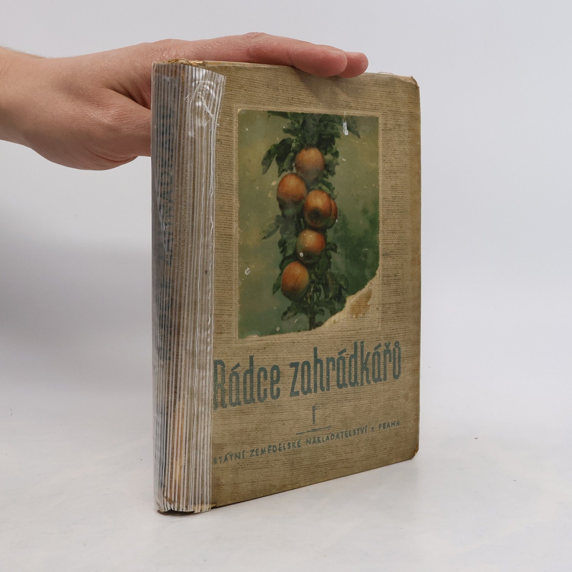 Autorenkollektiv Rádce zahrádkářů I