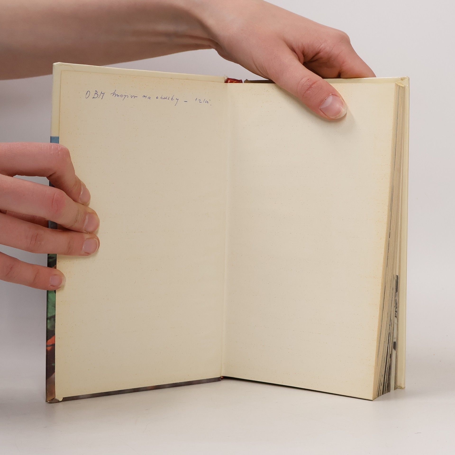 Collectif d'auteurs Malá pomologie 1. Jablka
