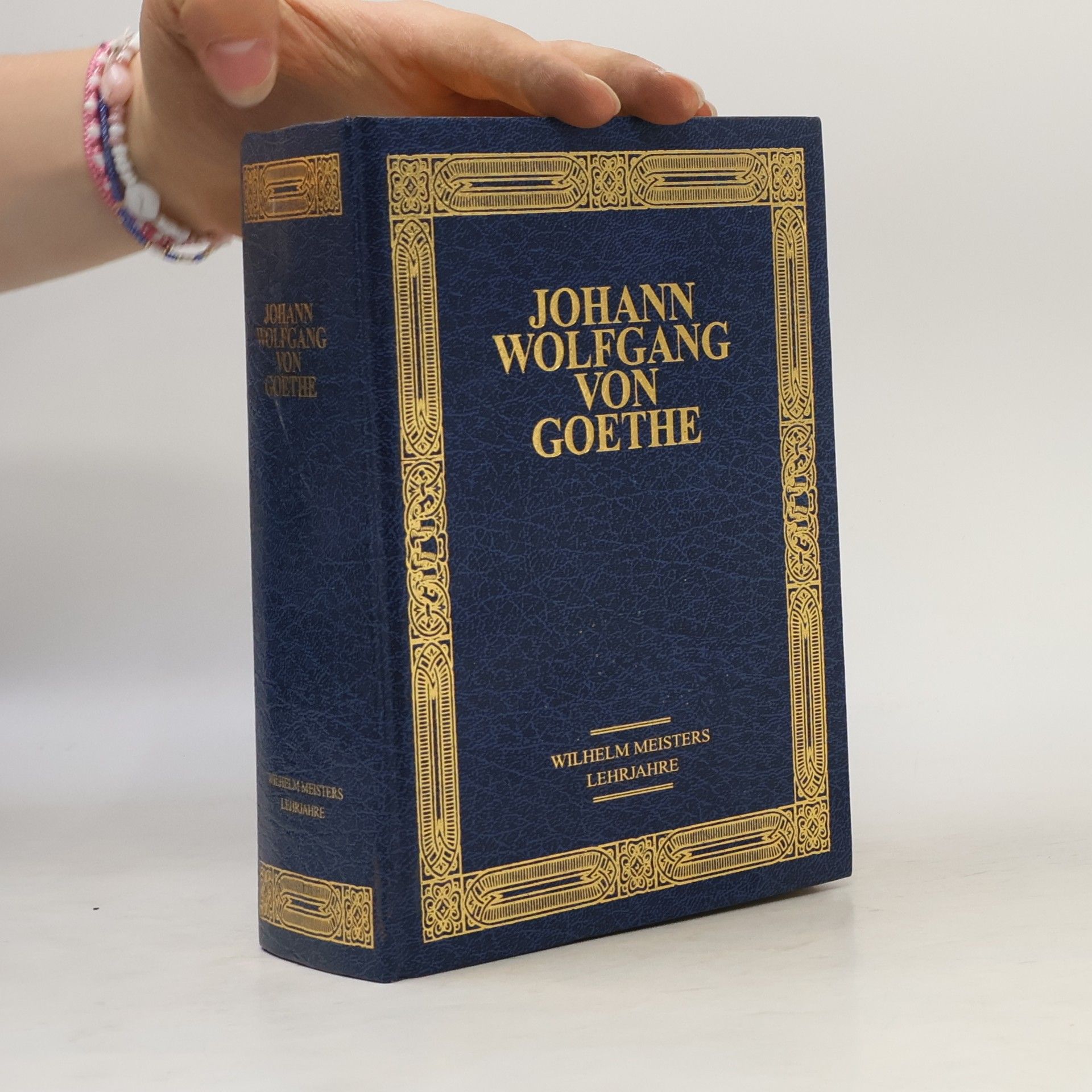 Johann Wolfgang von Goethe Wilhelm Meisters Lehrjahre