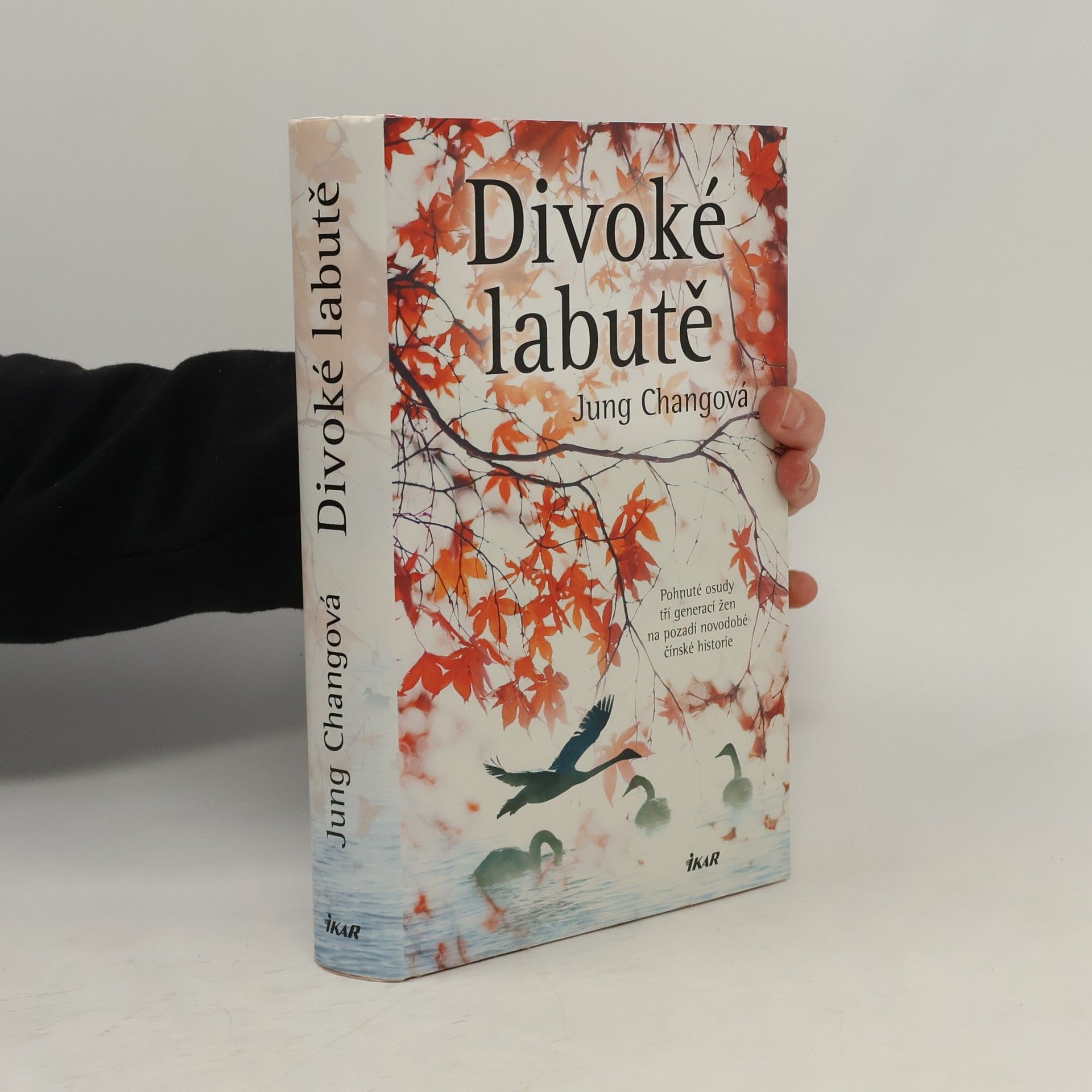 Jung Chang Divoké labutě