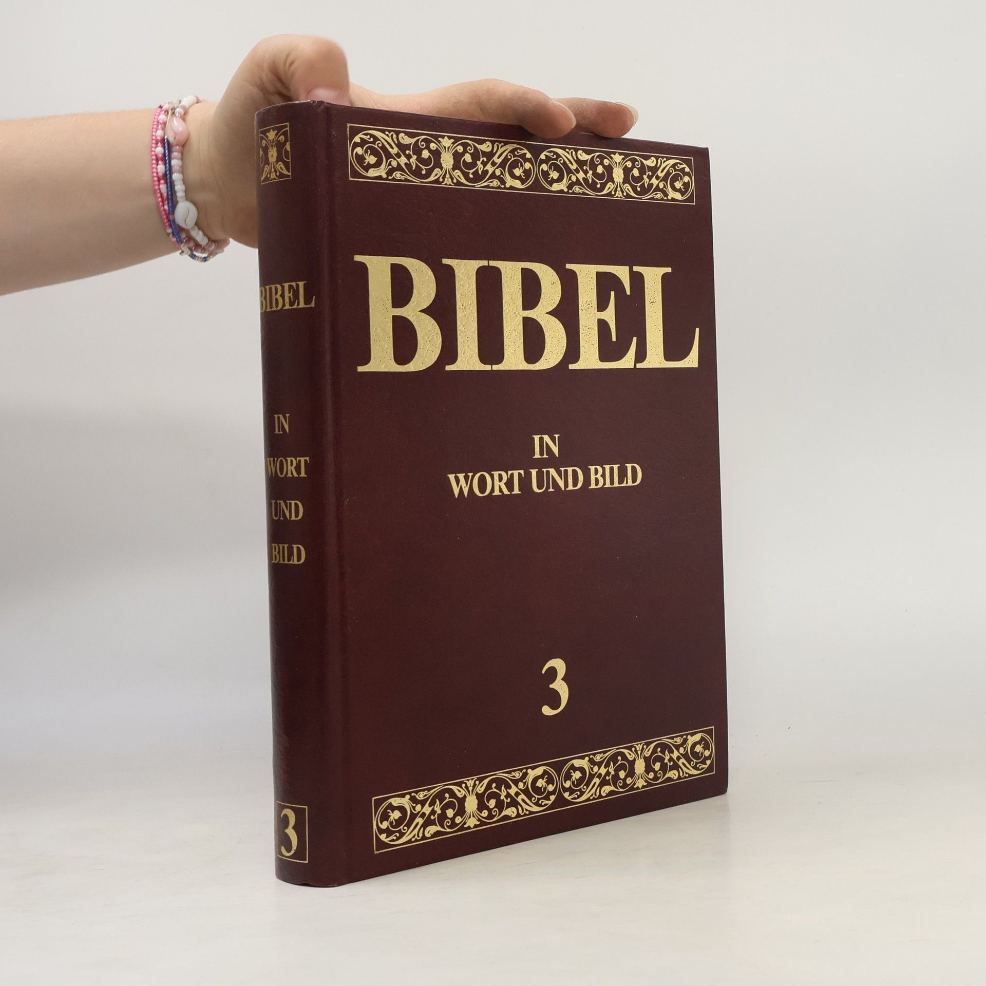 Kolektív autorov Bibel. In Wort und Bild 3