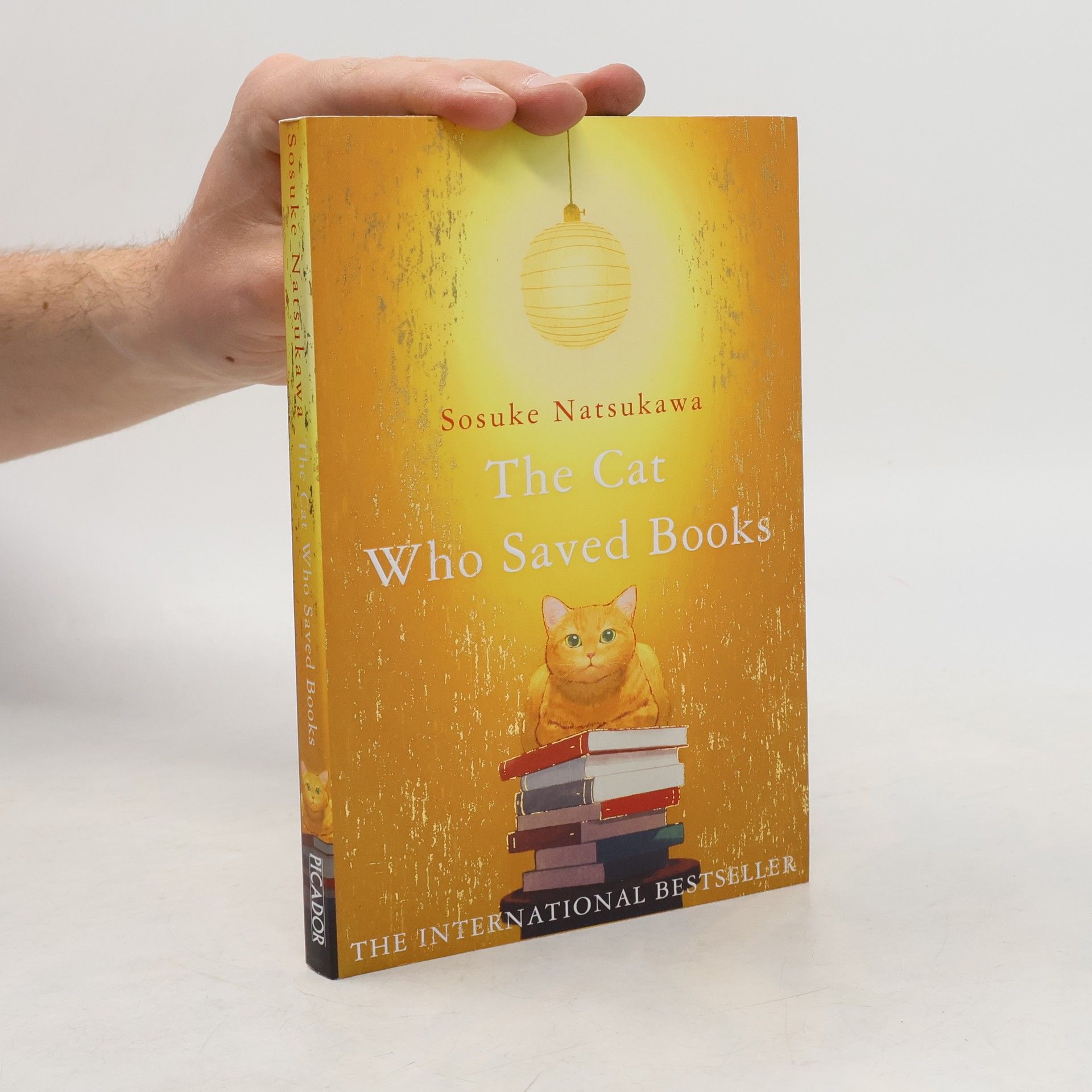 Sōsuke Natsukawa The Cat Who Saved Books