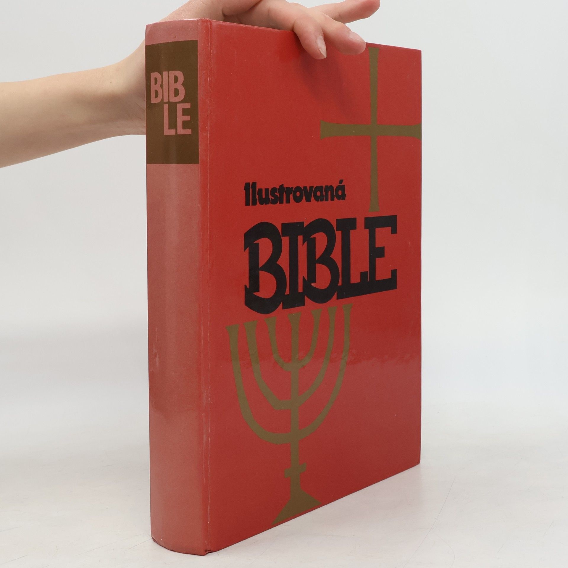 Samuel Terrien Ilustrovaná Bible pro mládež