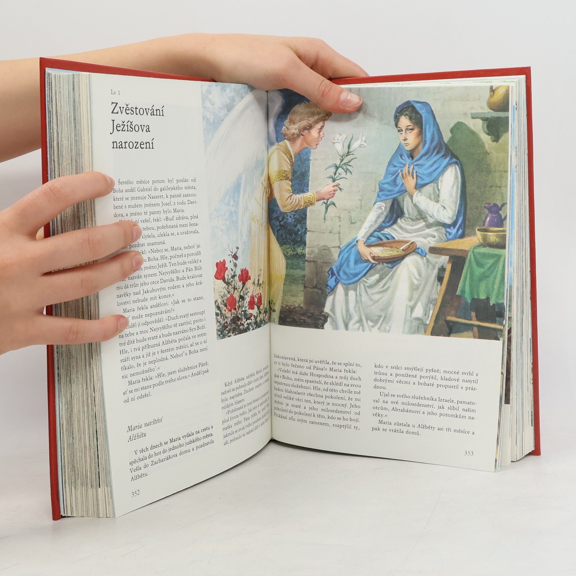 Samuel Terrien Ilustrovaná Bible pro mládež