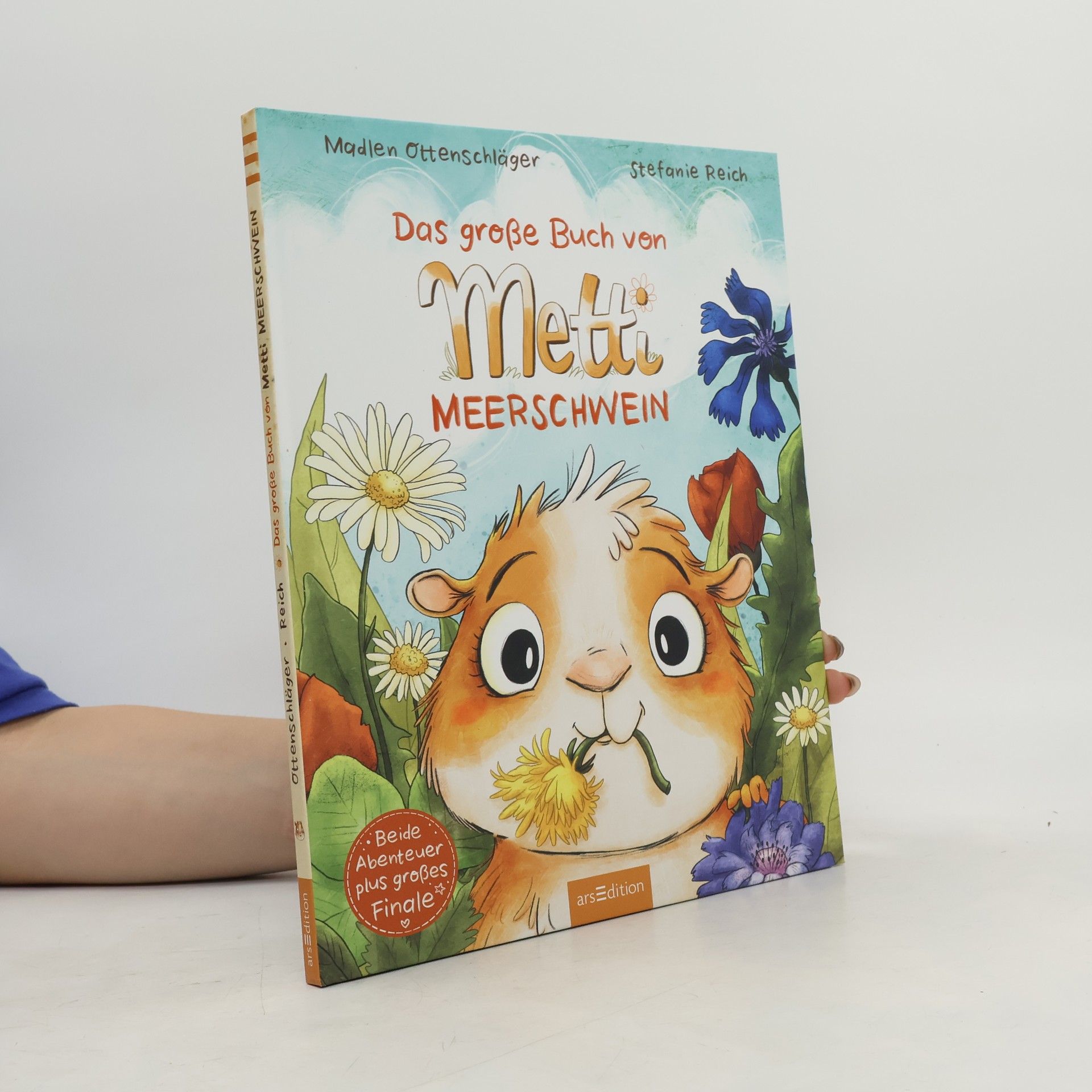 Madlen Ottenschläger Das große Buch von Metti Meerschwein