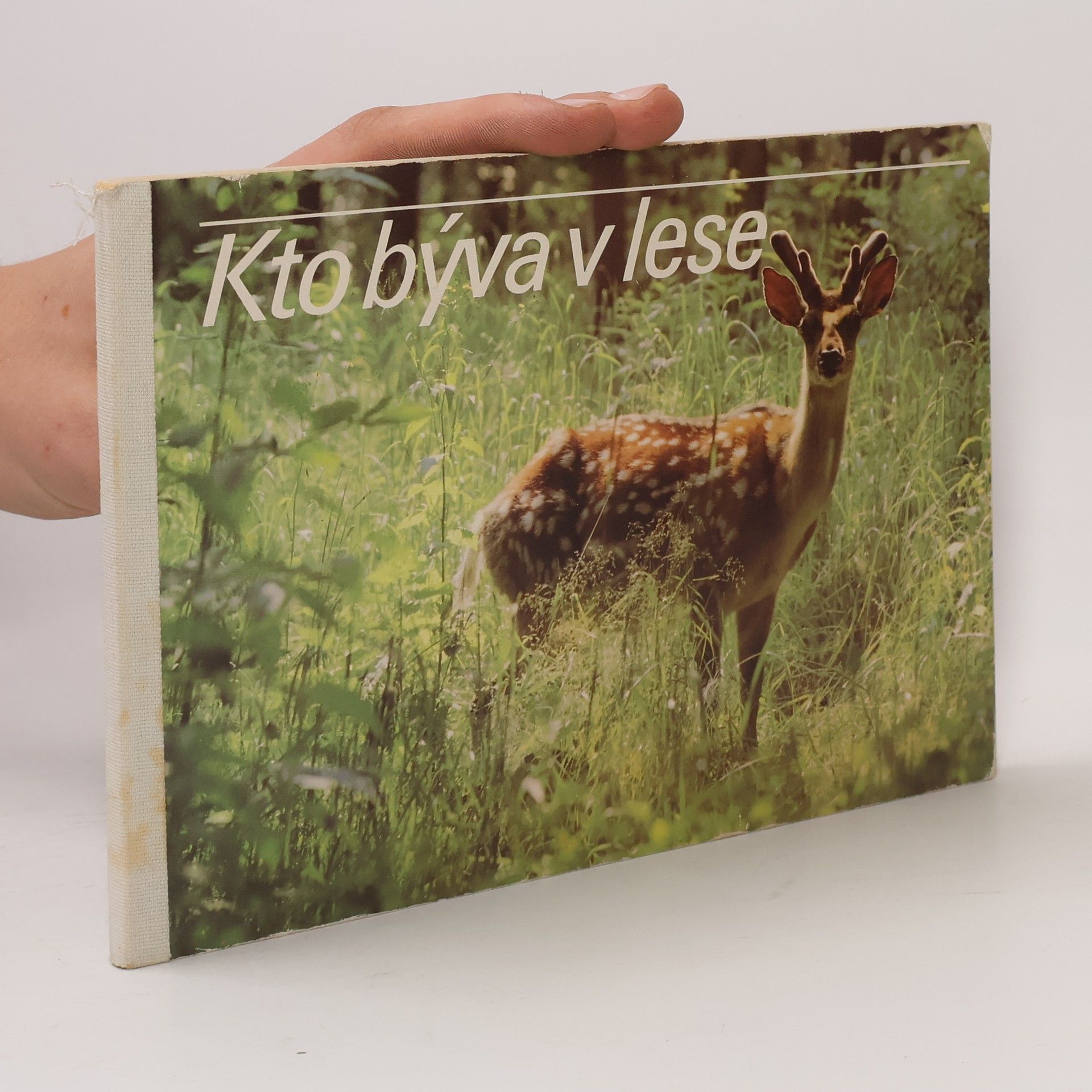 Zdeno Vlach Kto býva v lese
