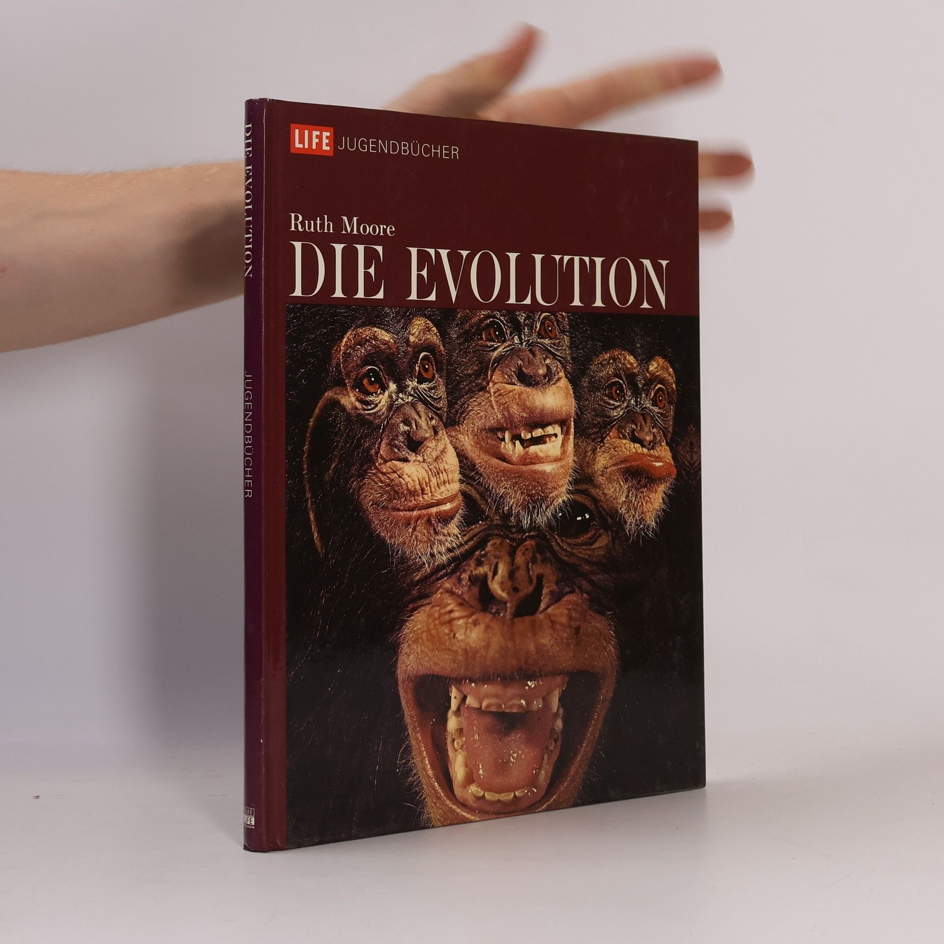Ruth Moore Die Evolution
