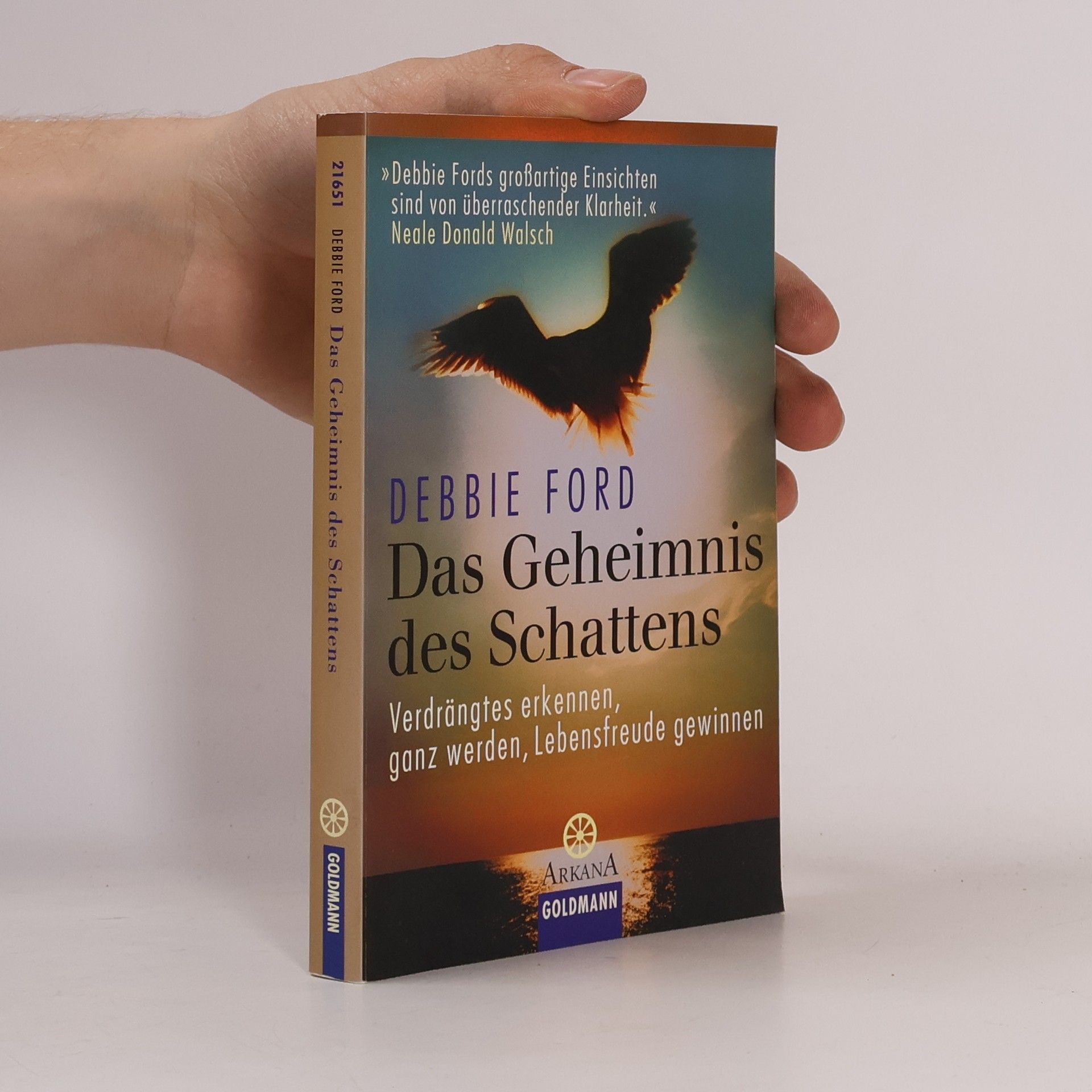Debbie Ford Das Geheimnis des Schattens