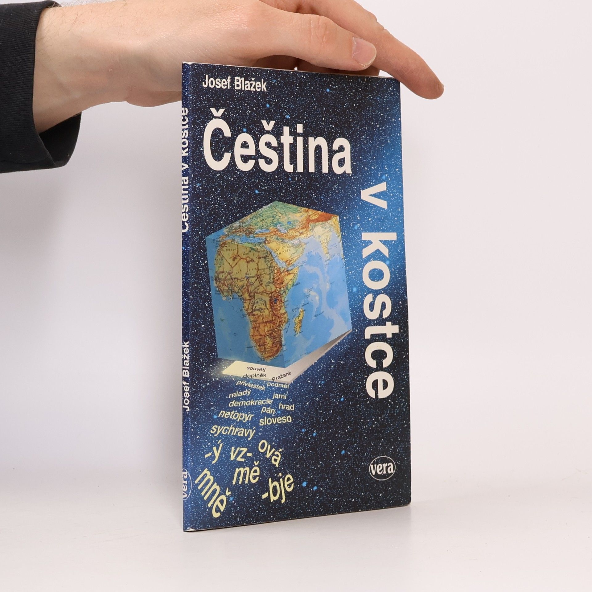 Čeština v kostce