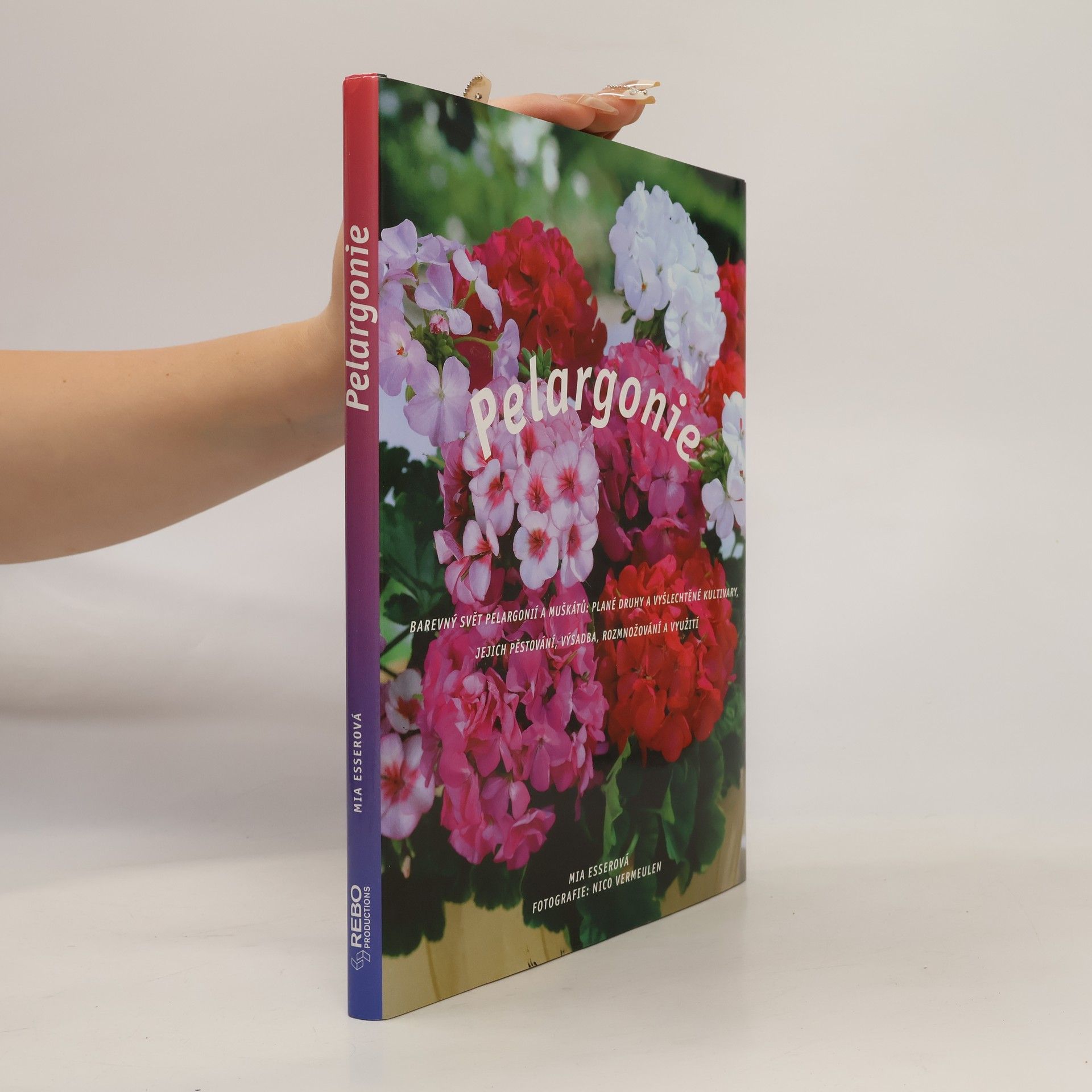 Pelargonie
