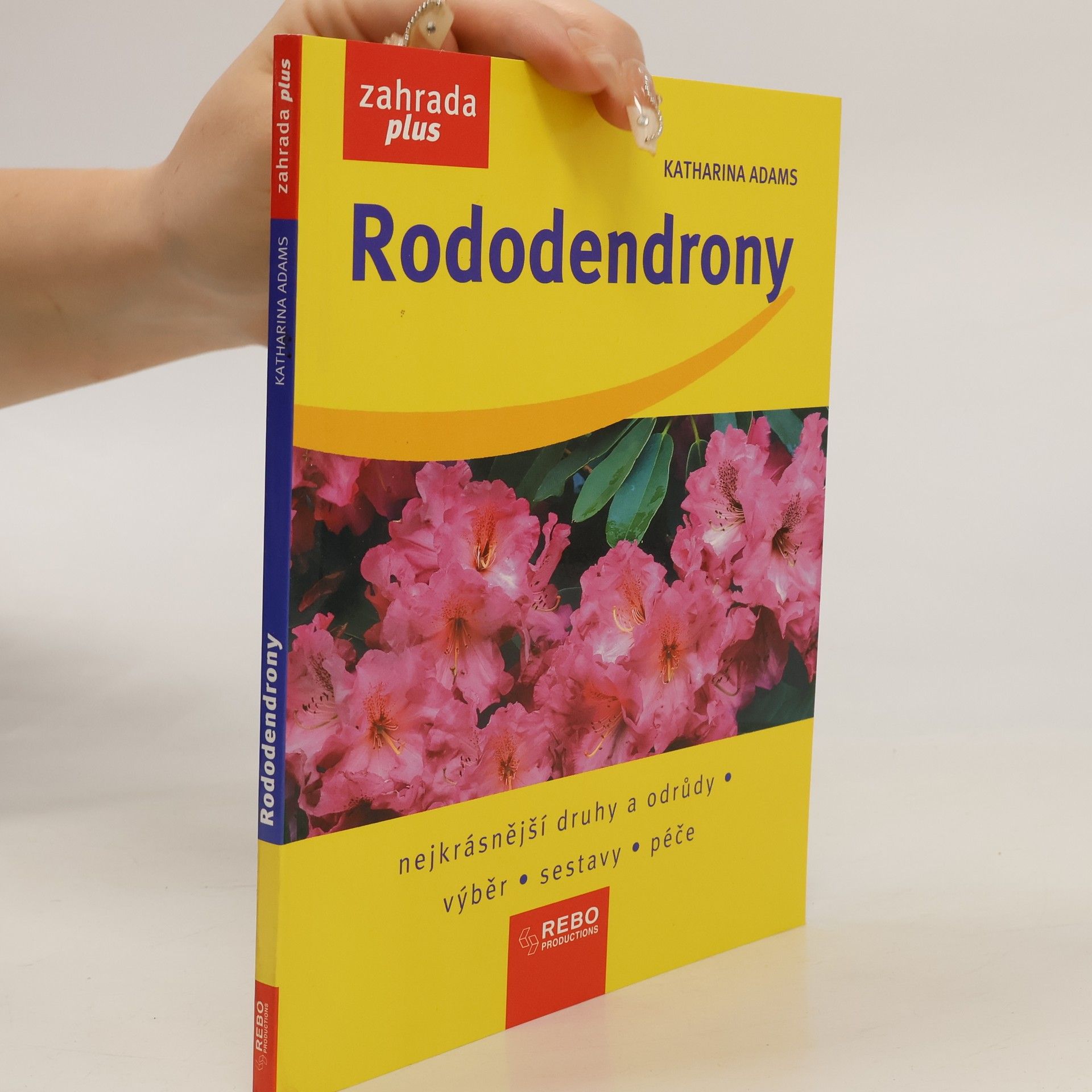 Katharina Adams Rododendrony