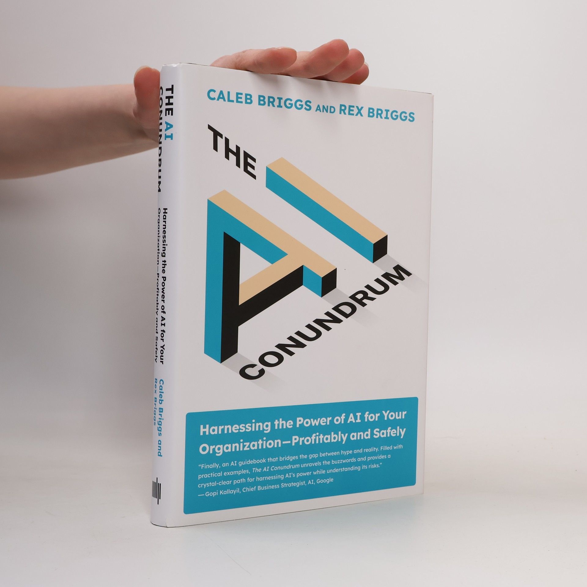 Caleb Briggs The AI Conundrum